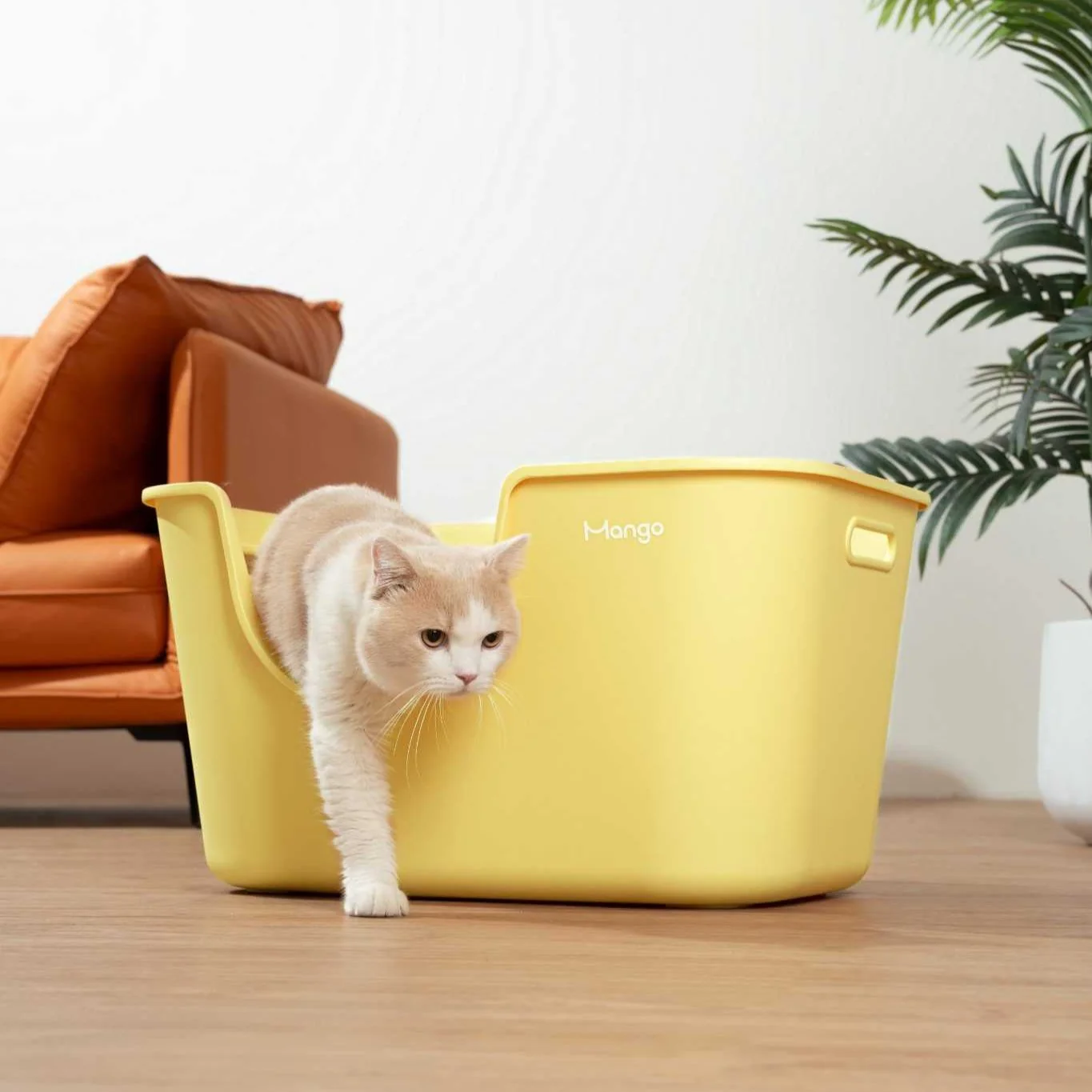 Butter Litter Box XL Set | Extra Large Litter Box with Accessories - Image 9