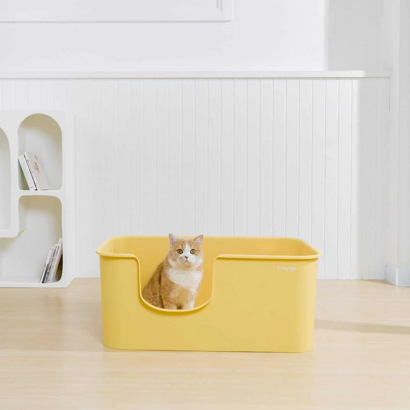 Butter Litter Box XXL (Double Extra Large) - Image 3