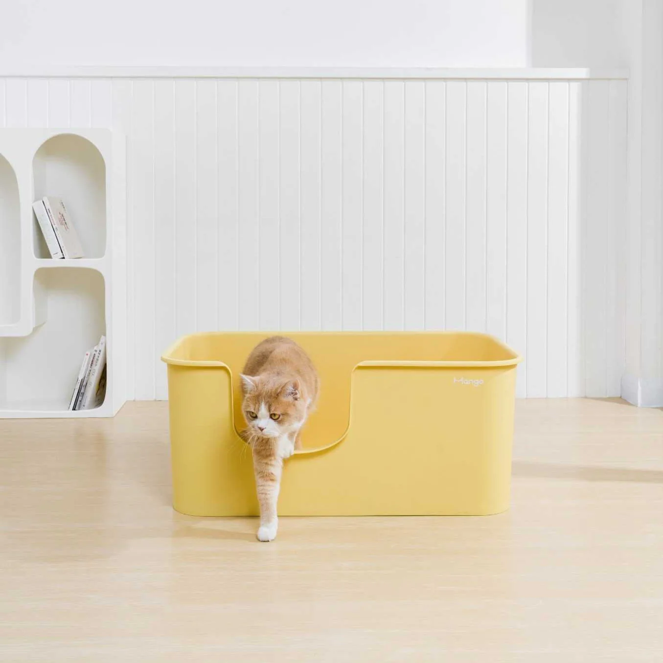 Butter Litter Box XXL (Double Extra Large) - Image 4