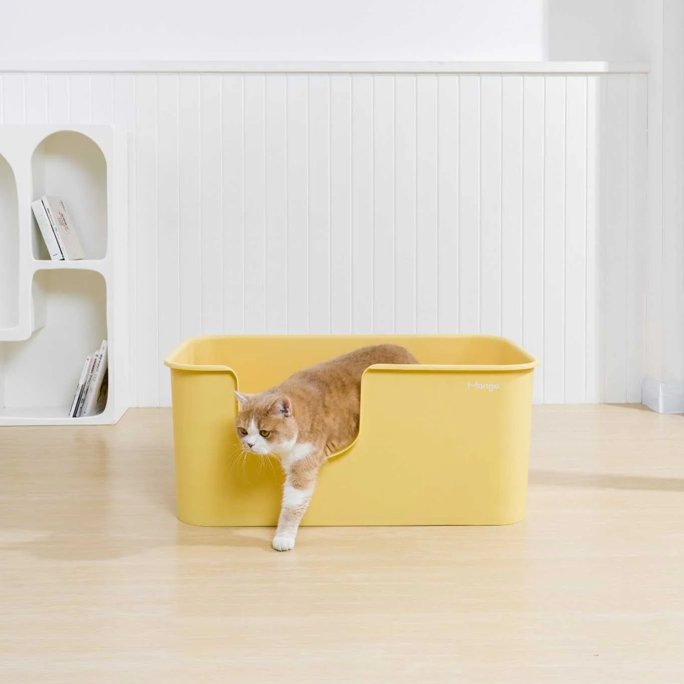 Butter Litter Box XXL (Double Extra Large) - Image 5