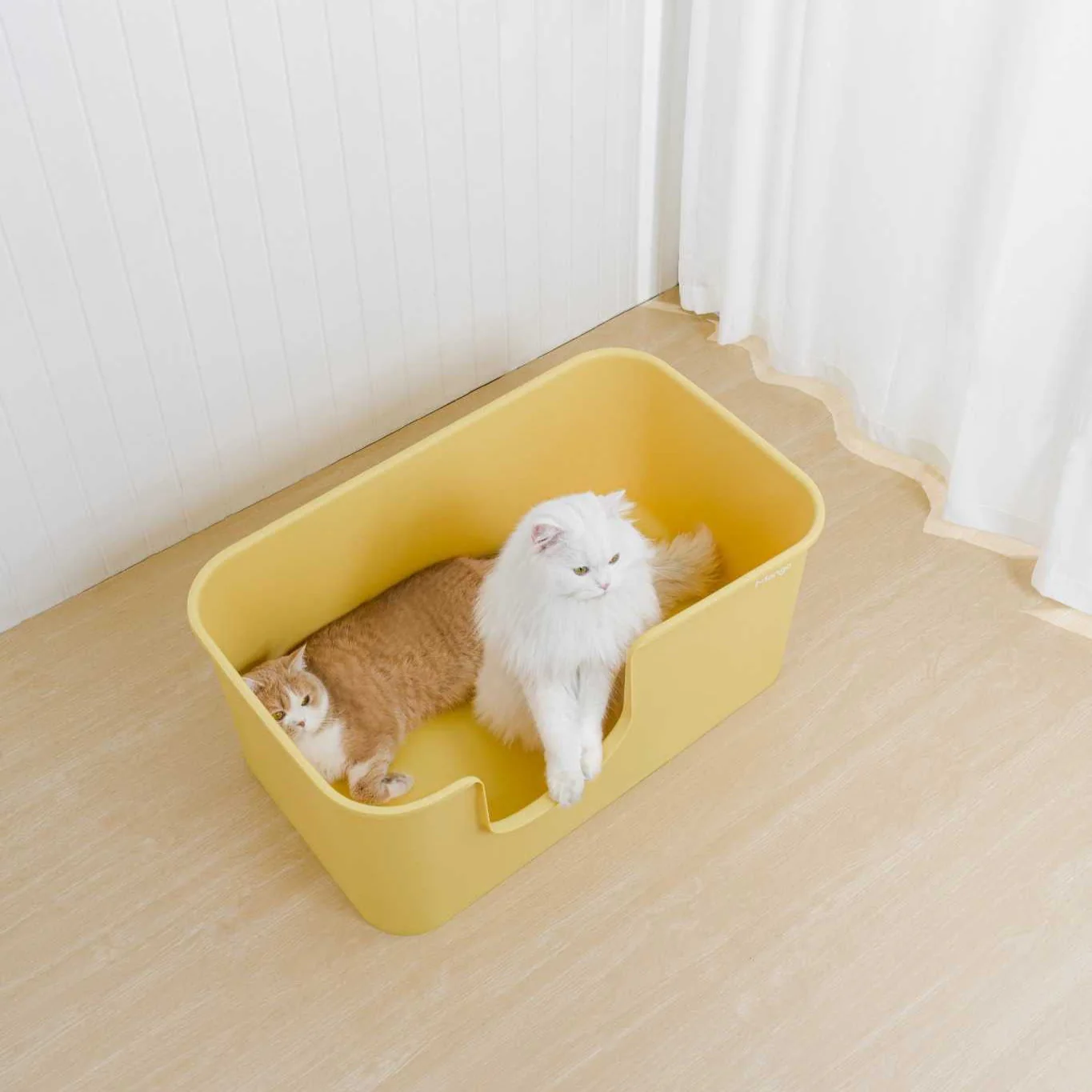 Butter Litter Box XXL (Double Extra Large) - Image 6