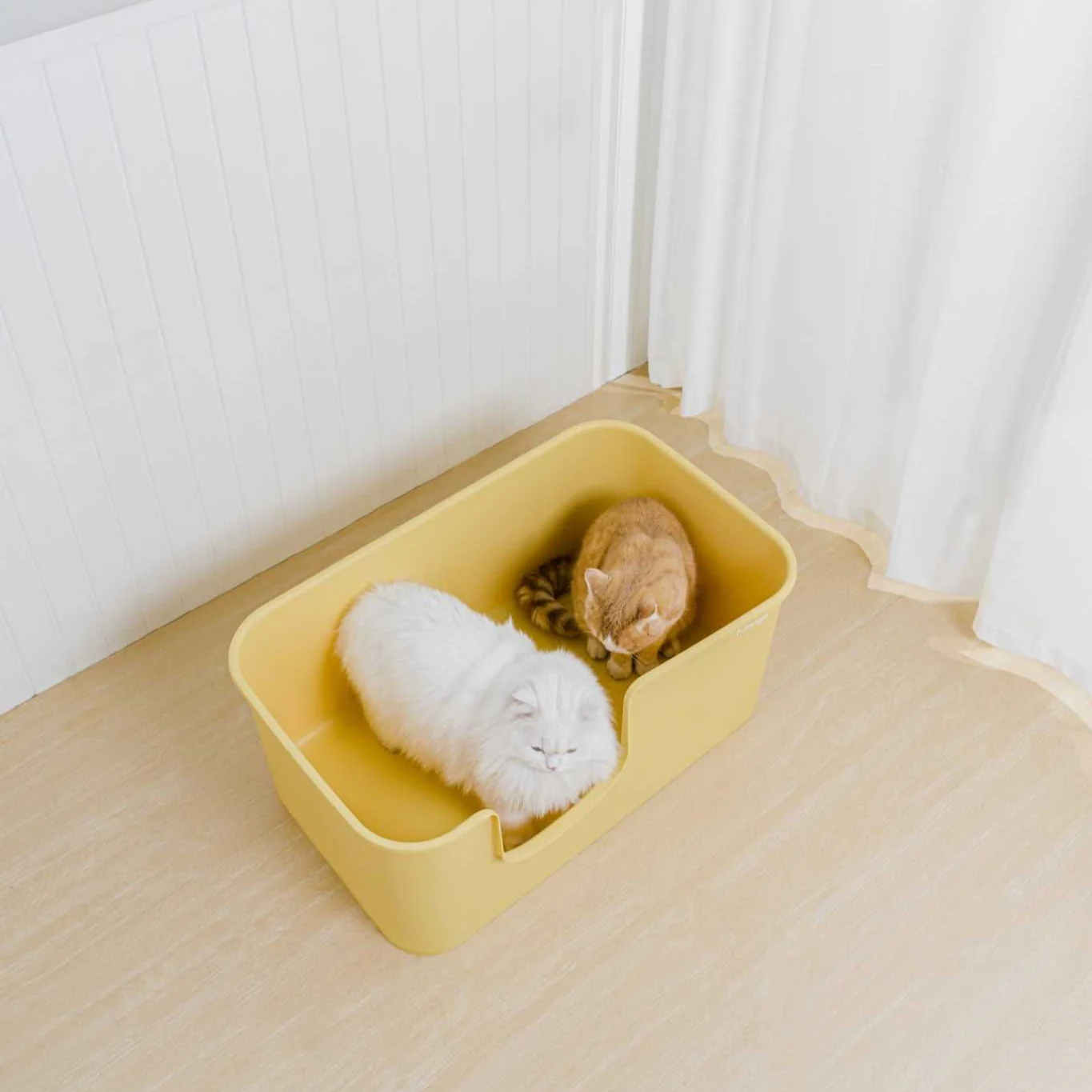 Butter Litter Box XXL (Double Extra Large) - Image 7
