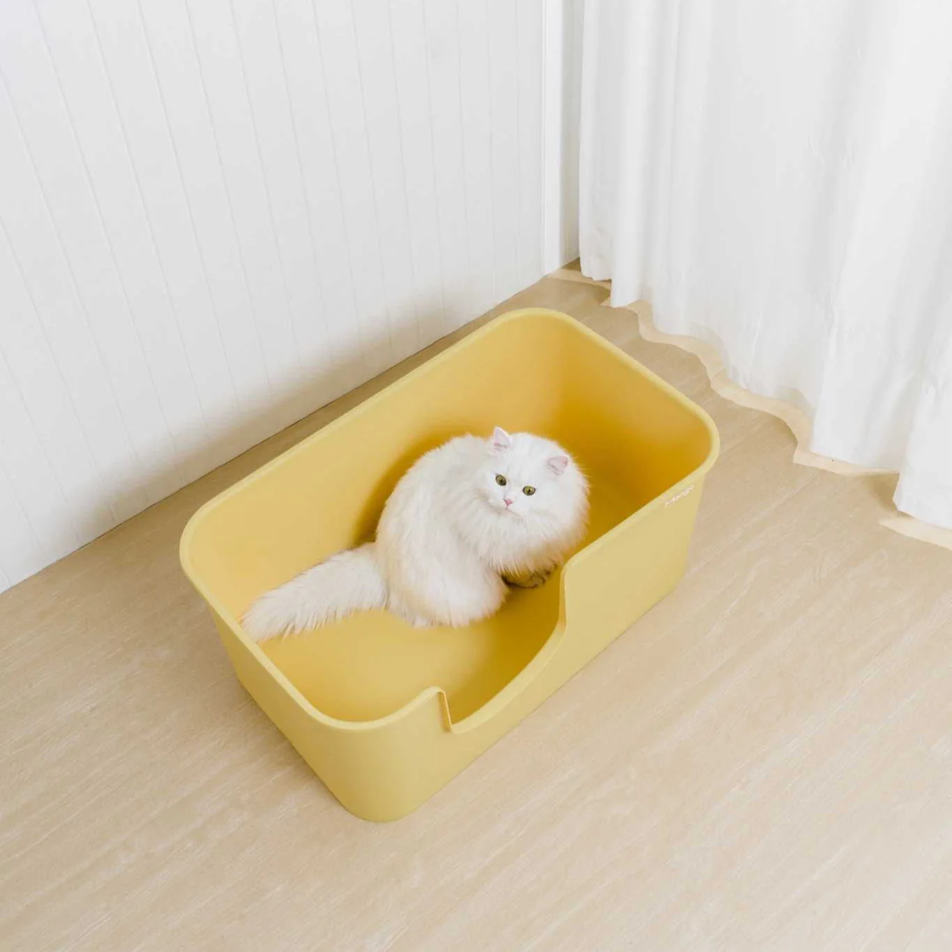 Butter Litter Box XXL (Double Extra Large) - Image 8