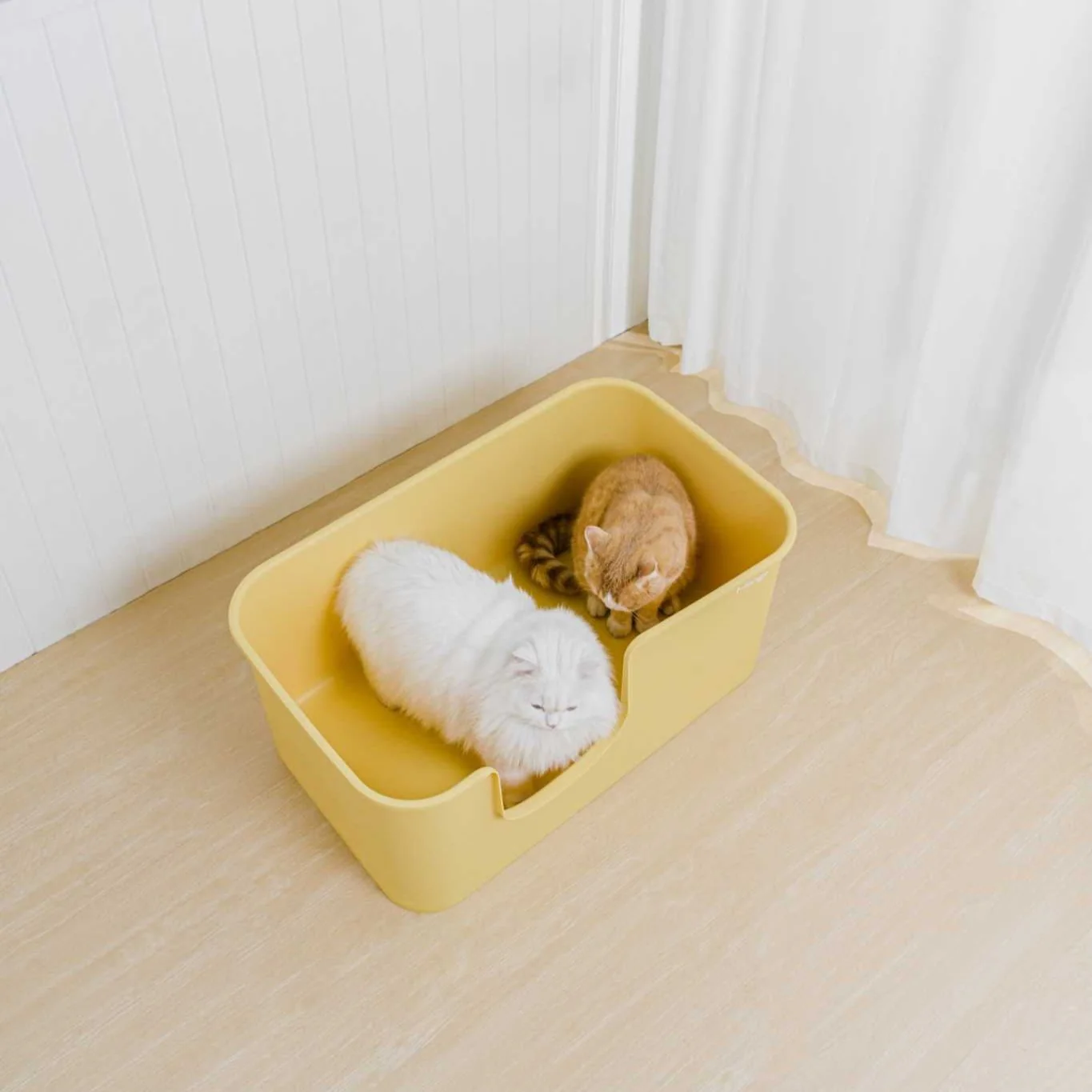 Butter Litter Box XXL Set | Extra Large Litter Box with Accessories - Image 2
