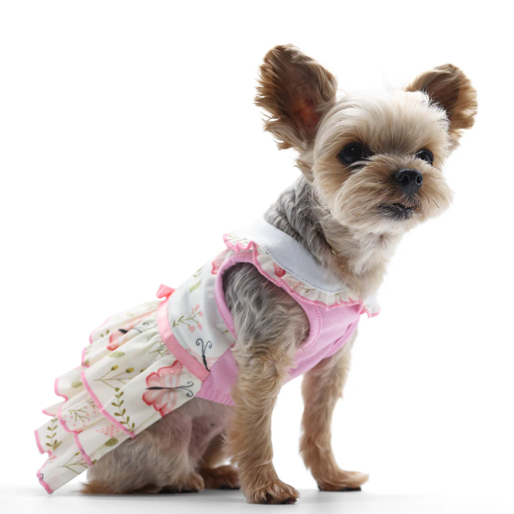 Butterfly Dress - Image 7
