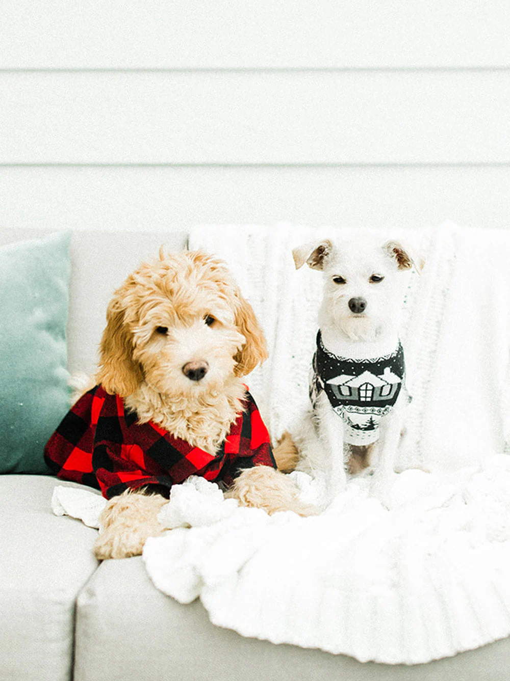 Cabin Sweater (Dog Sizes Only) - Image 3
