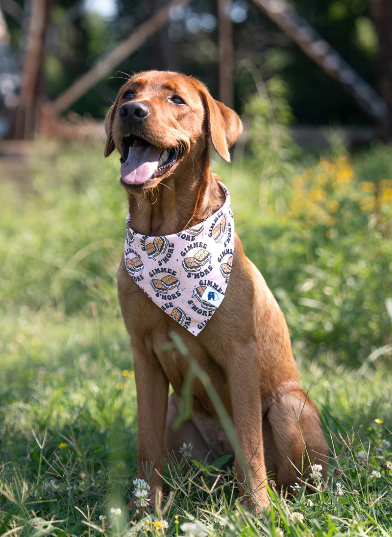 Camping & Smores Dog Bandana - Image 3