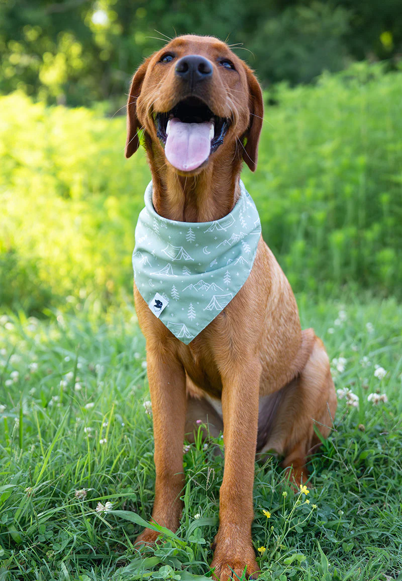Camping & Smores Dog Bandana - Image 4