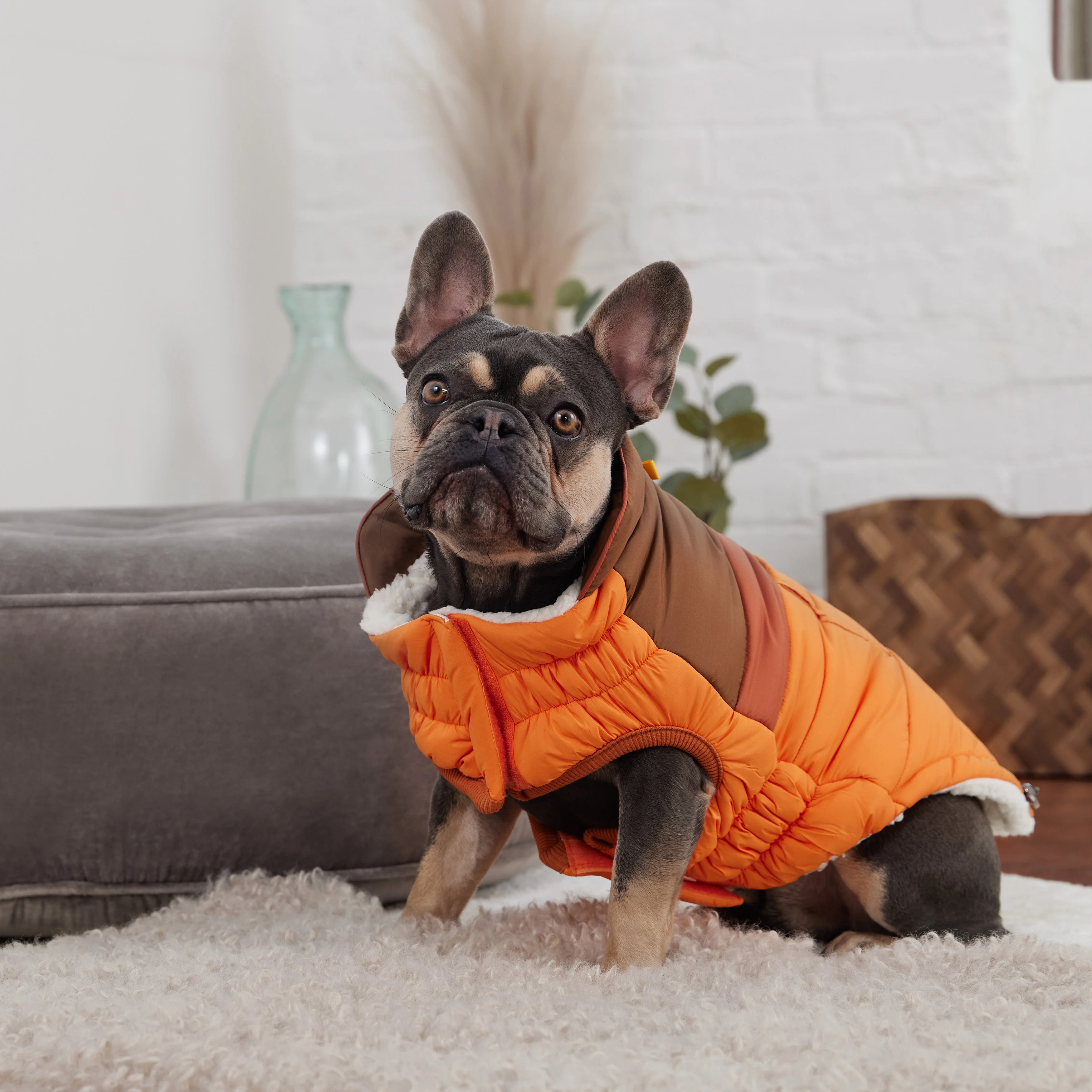 Camplife Puffer - Orange - Image 4