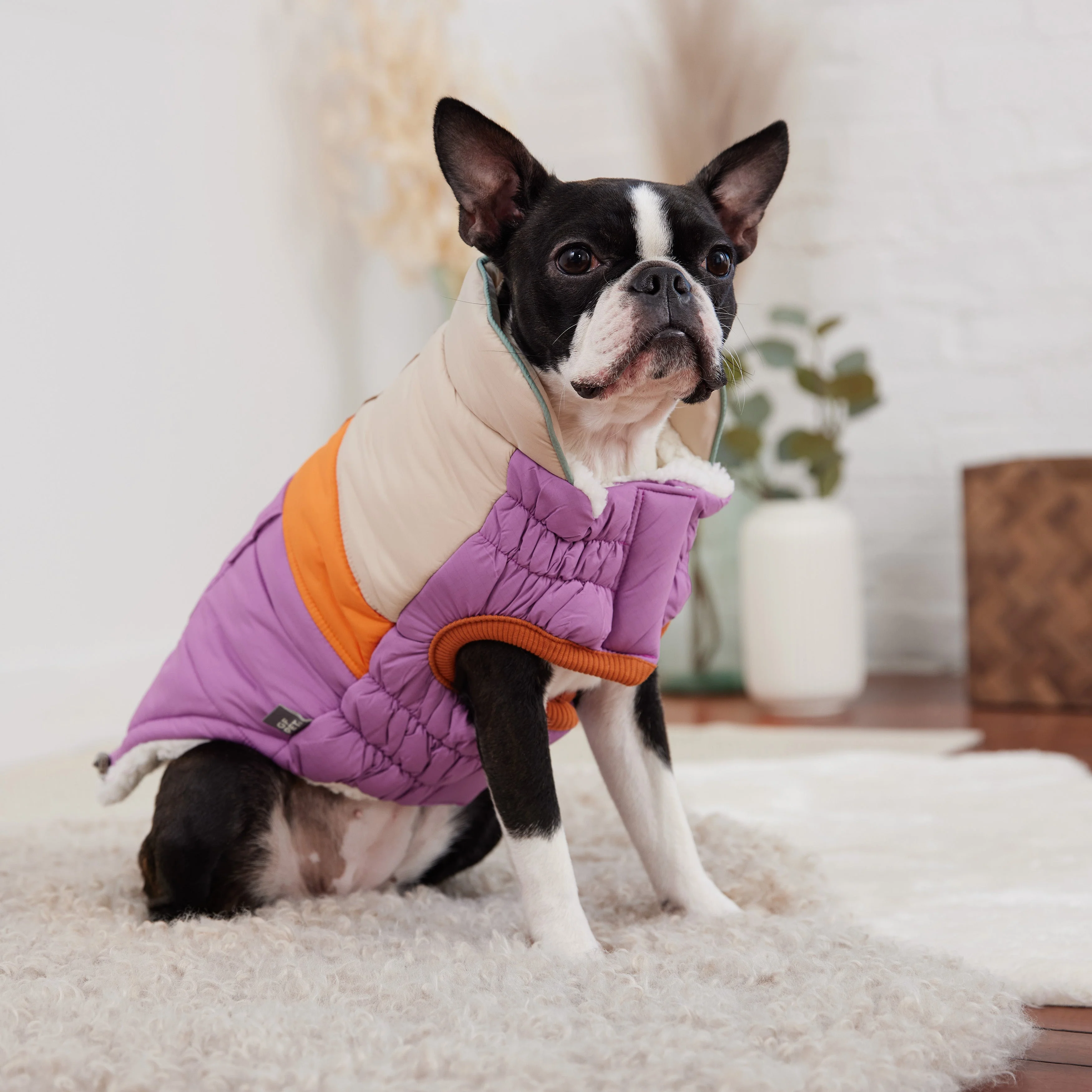 Camplife Puffer - Purple - Image 4