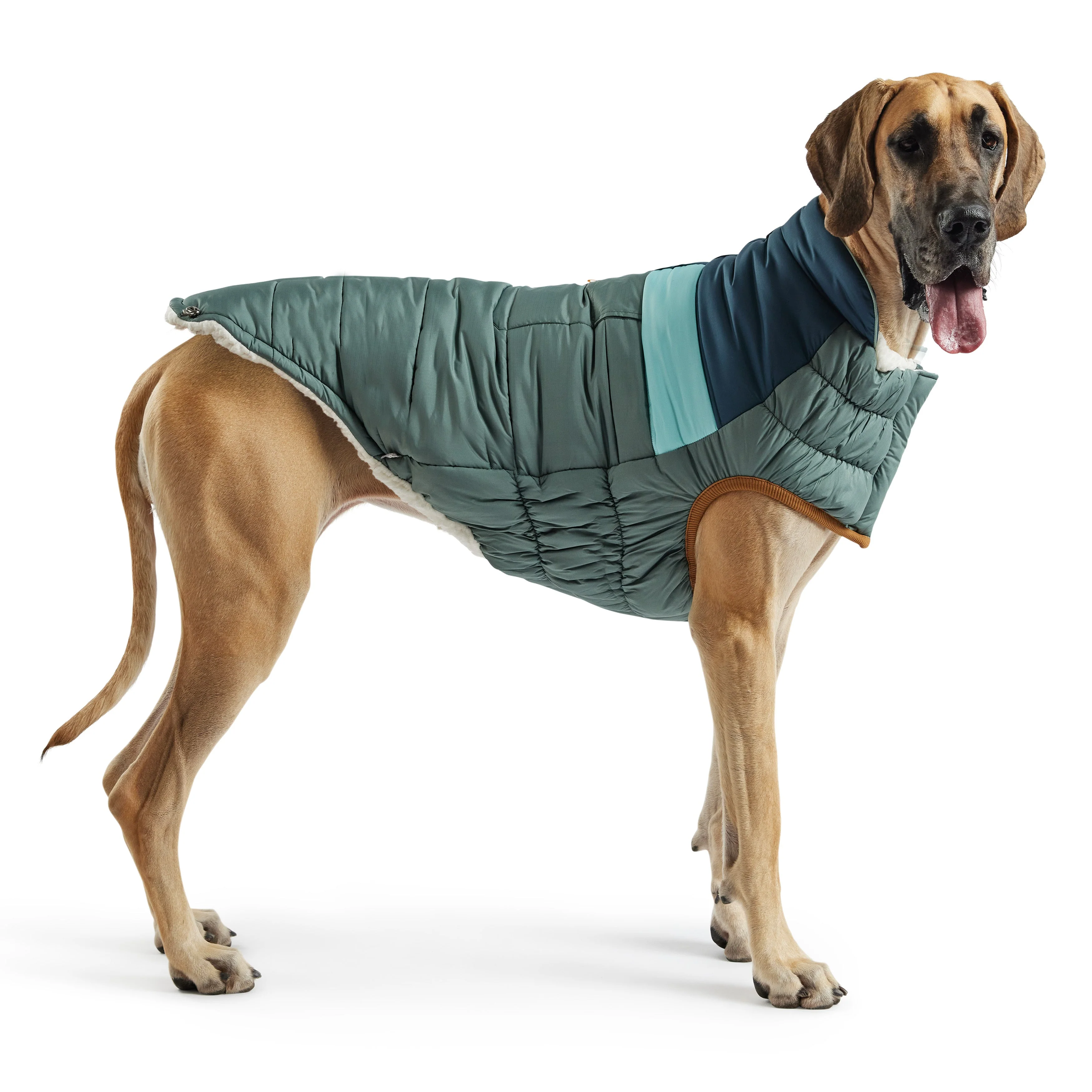 Camplife Puffer - Sage - Image 4