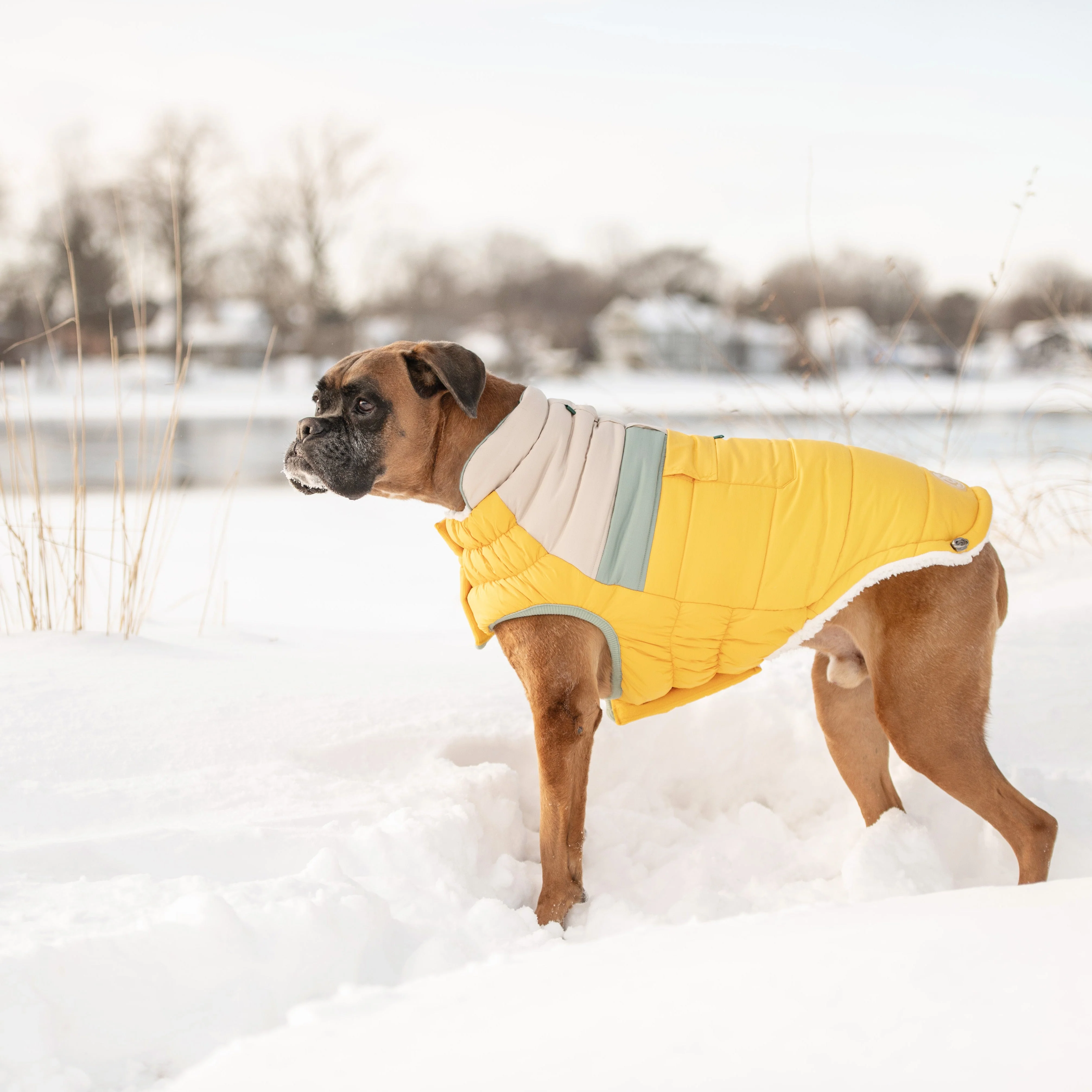 Camplife Puffer - Yellow - Image 6