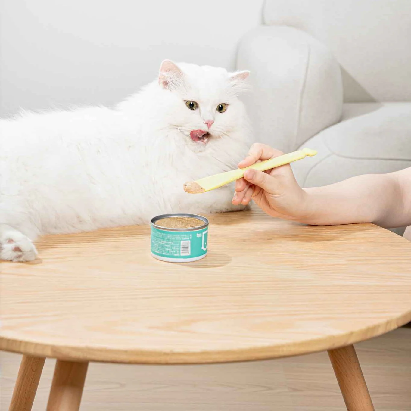 Can Food Spoon - Image 4