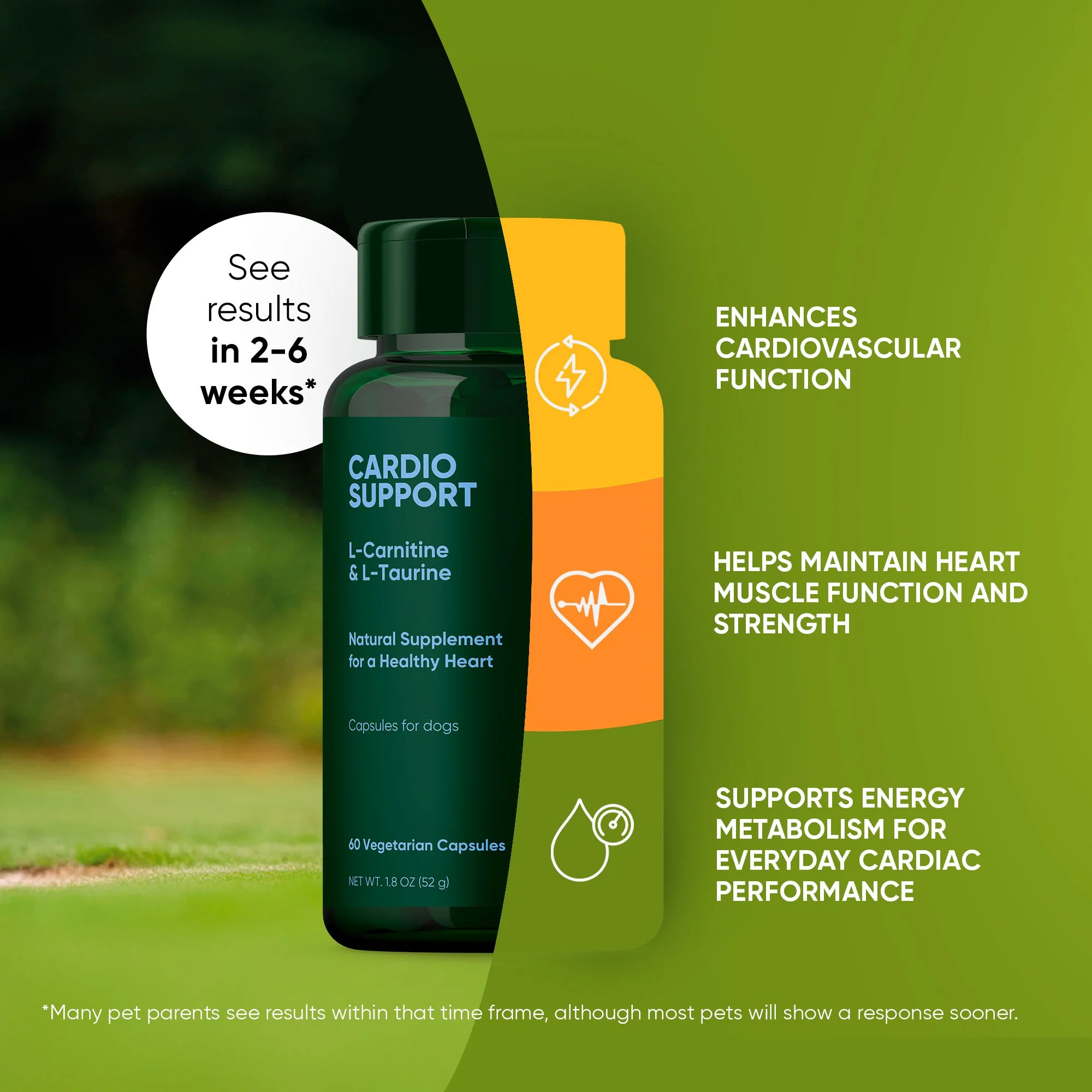Cardio Support - Image 17
