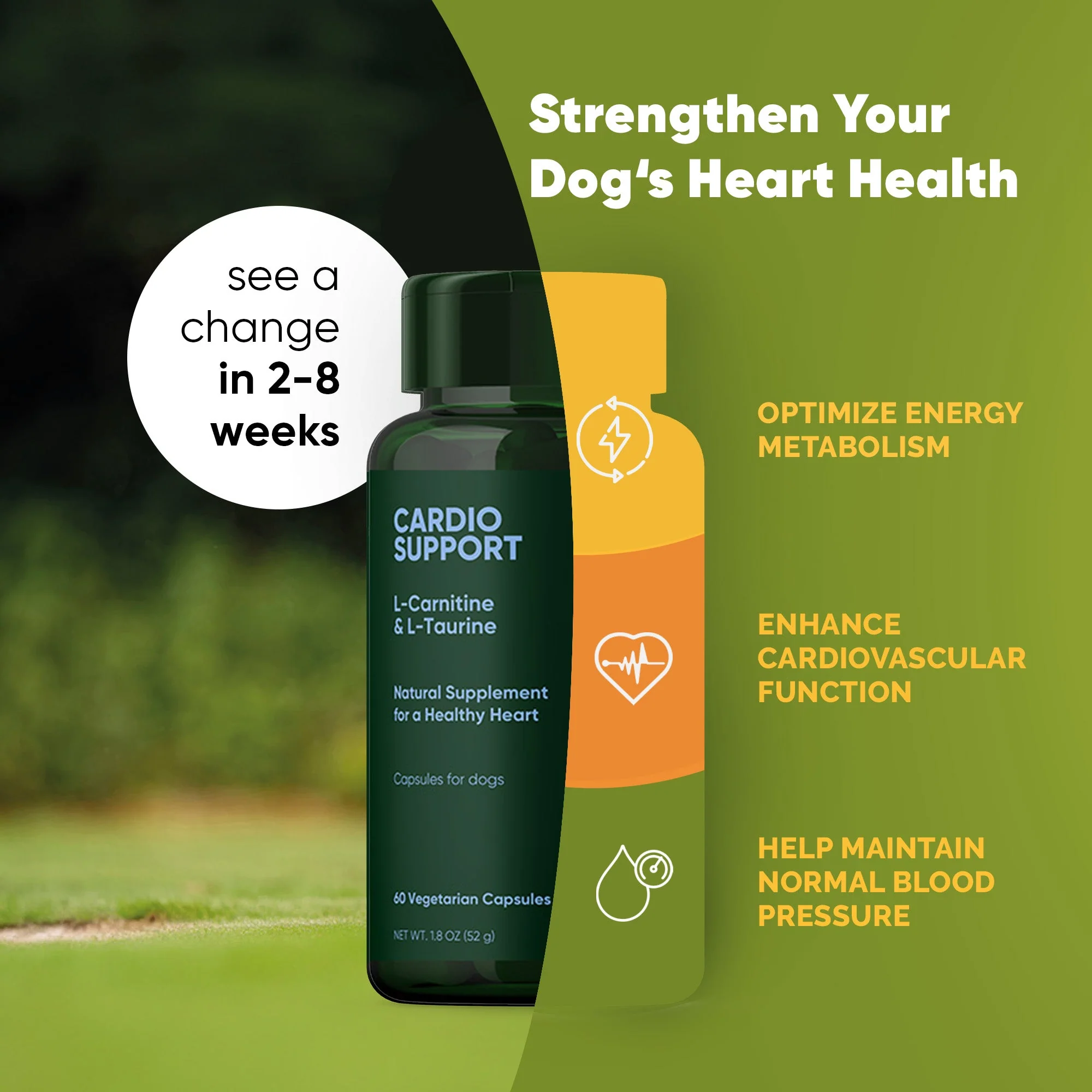 Cardio Support - Image 3