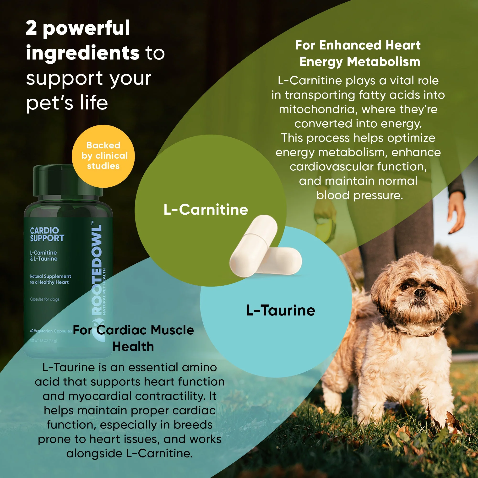 Cardio Support - Image 4