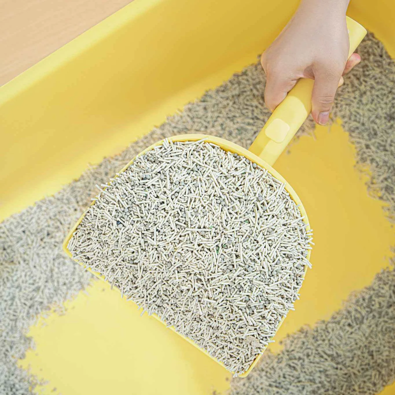 Cat Litter Changing Scoop - Image 4