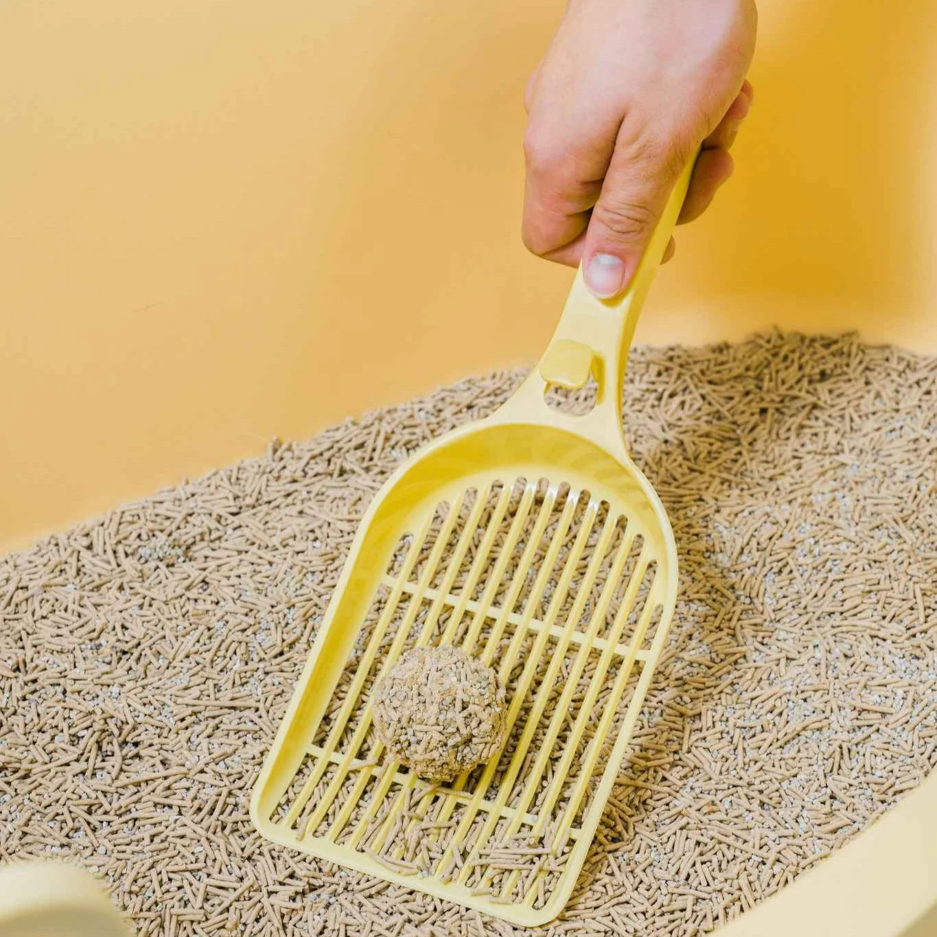 Cat Litter Scoop - Image 3