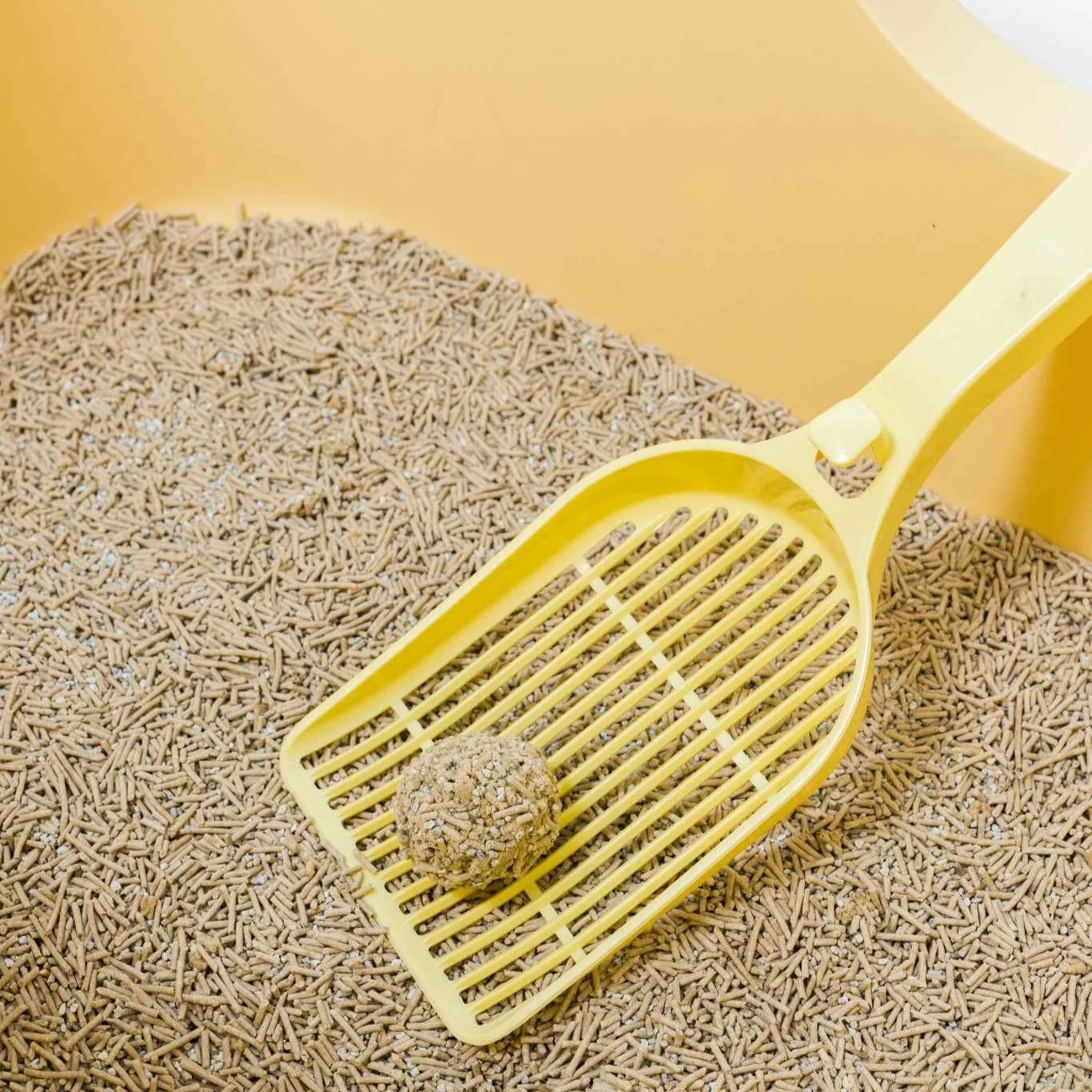 Cat Litter Scoop - Image 4