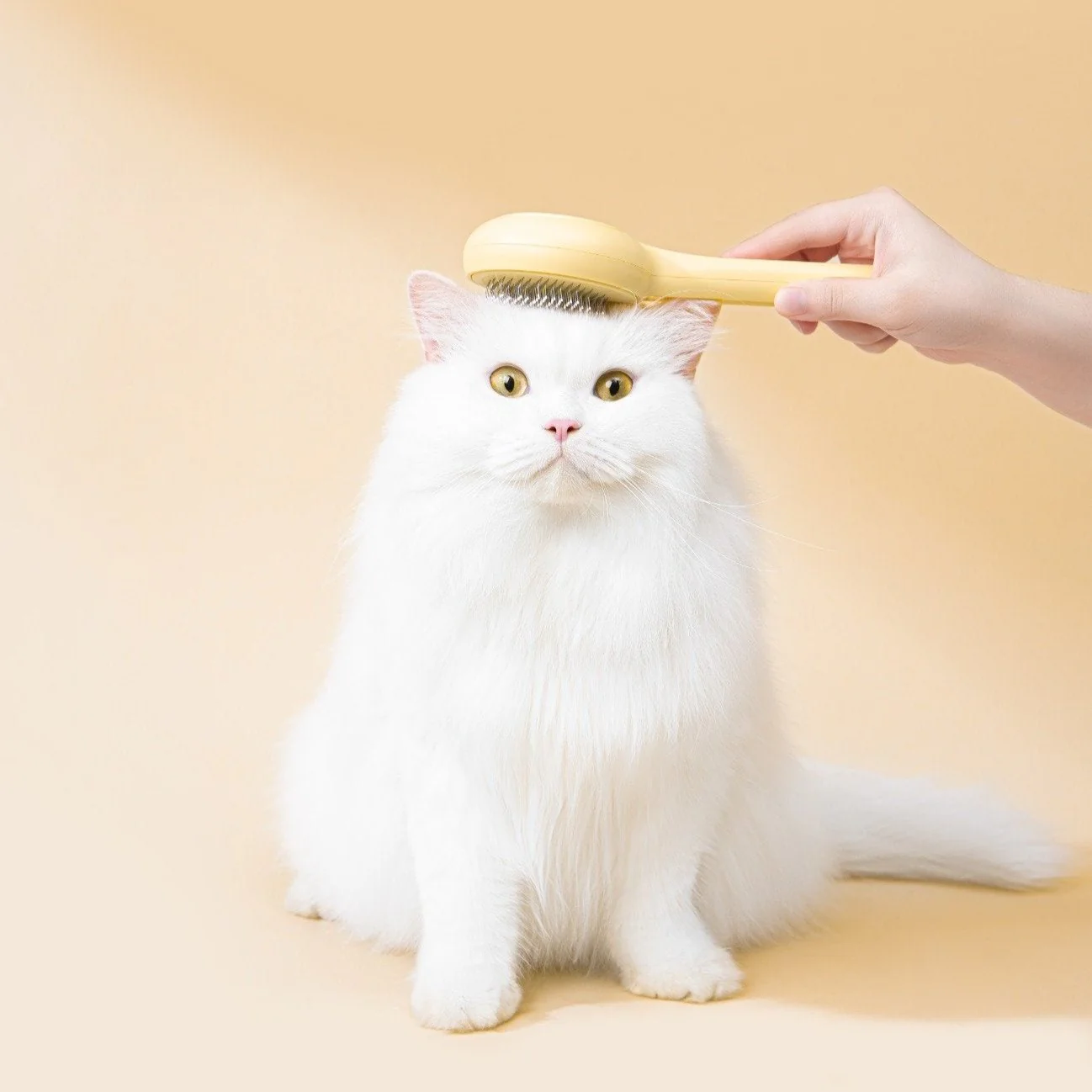 Cat Press Comb - Image 5