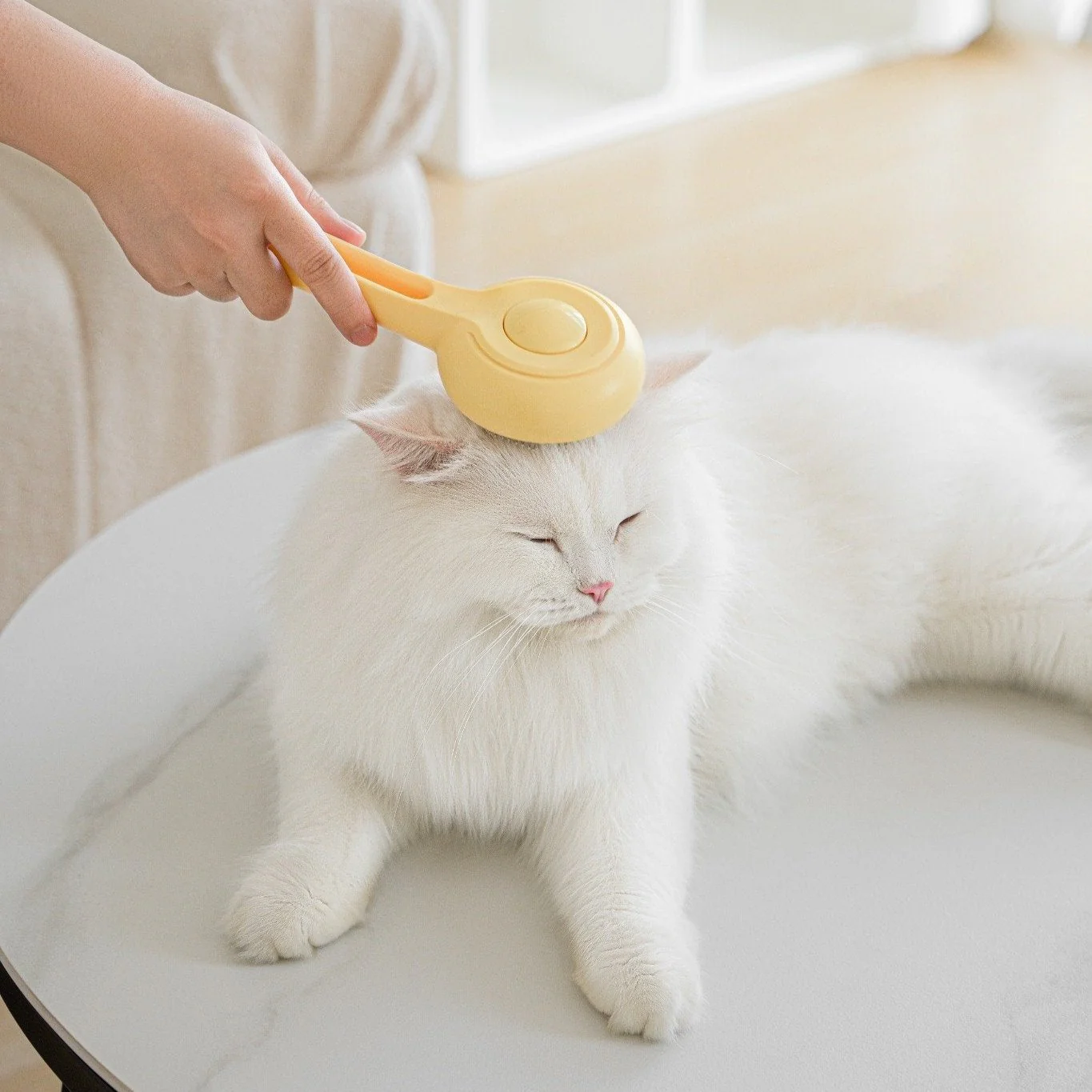 Cat Press Comb - Image 6