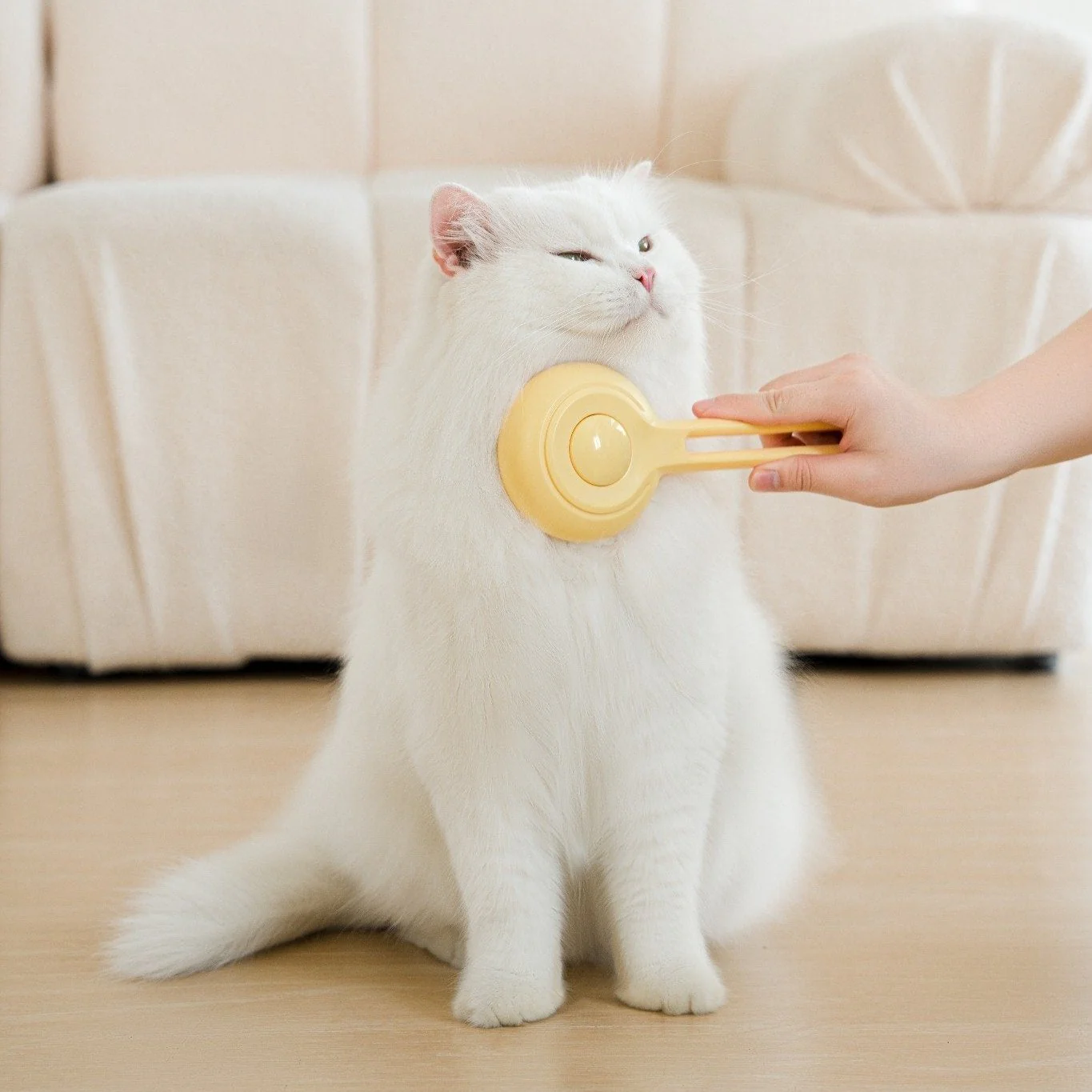 Cat Press Comb - Image 7