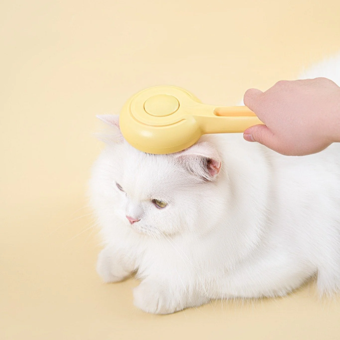Cat Press Comb - Image 8