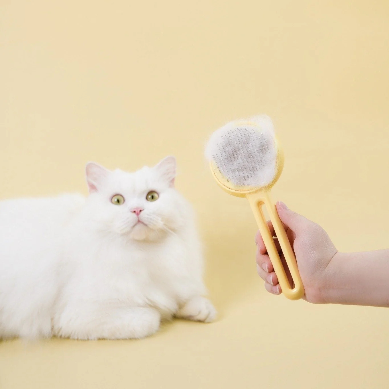 Cat Press Comb - Image 9