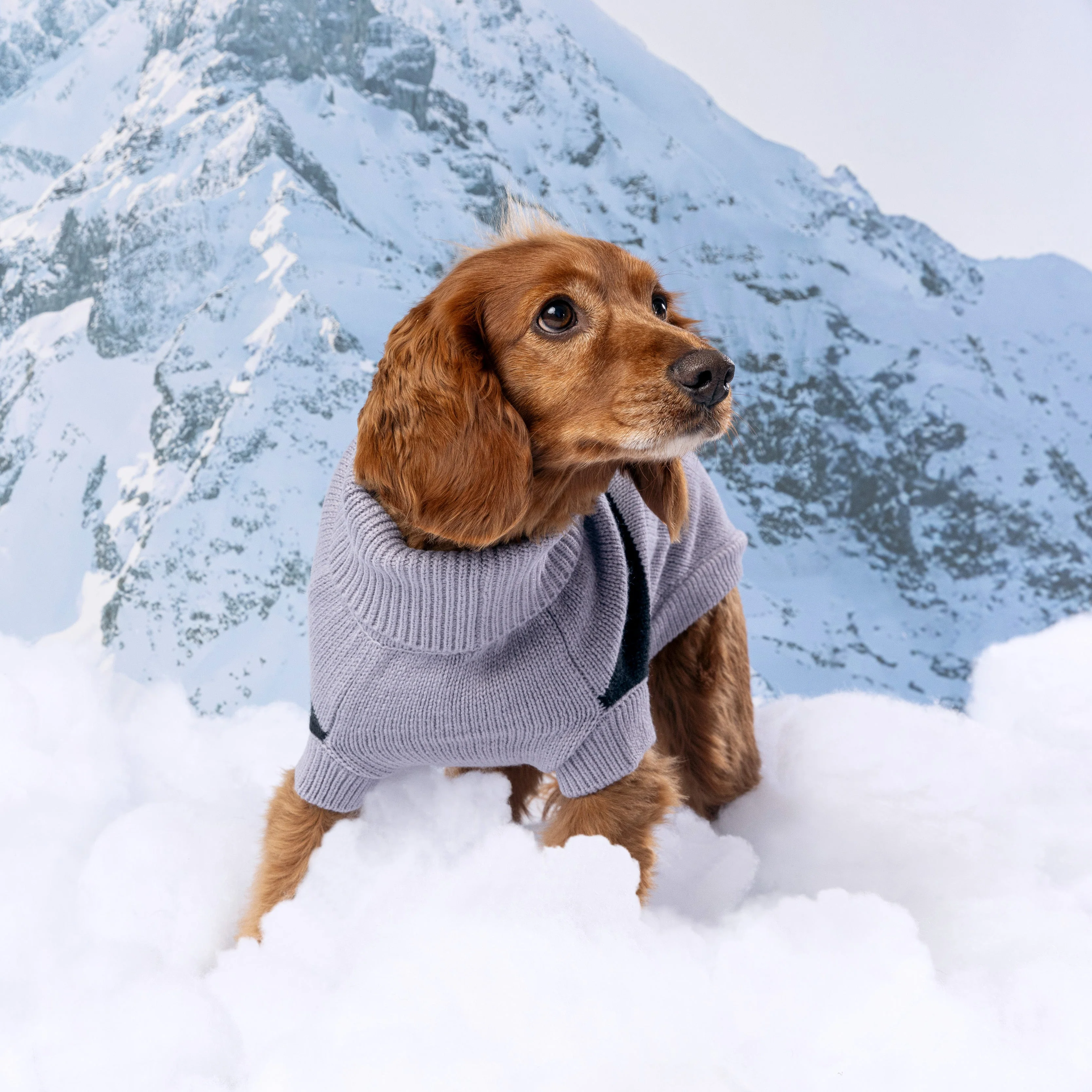 Catalyst Sweater - Image 15