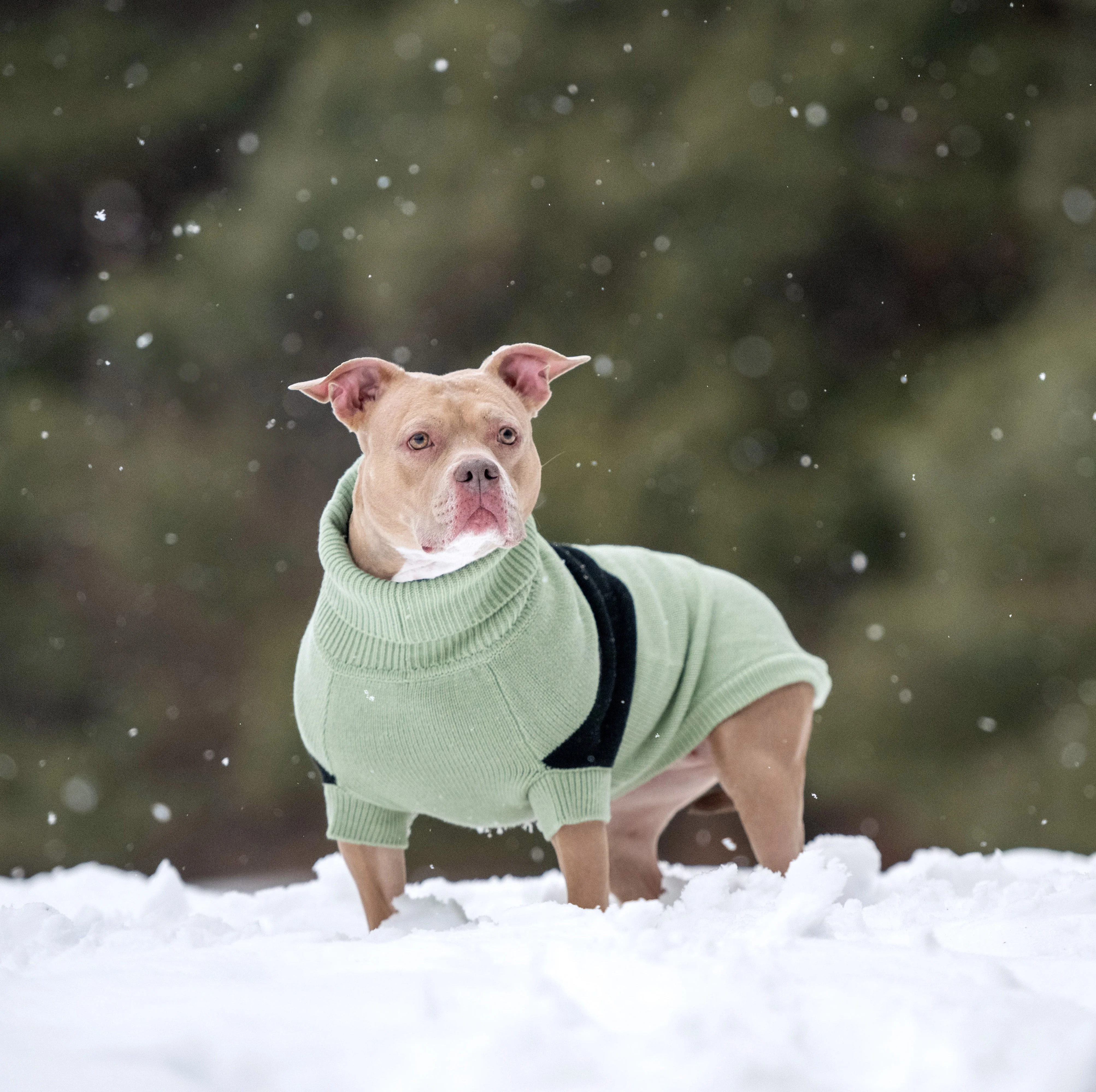 Catalyst Sweater - Image 16