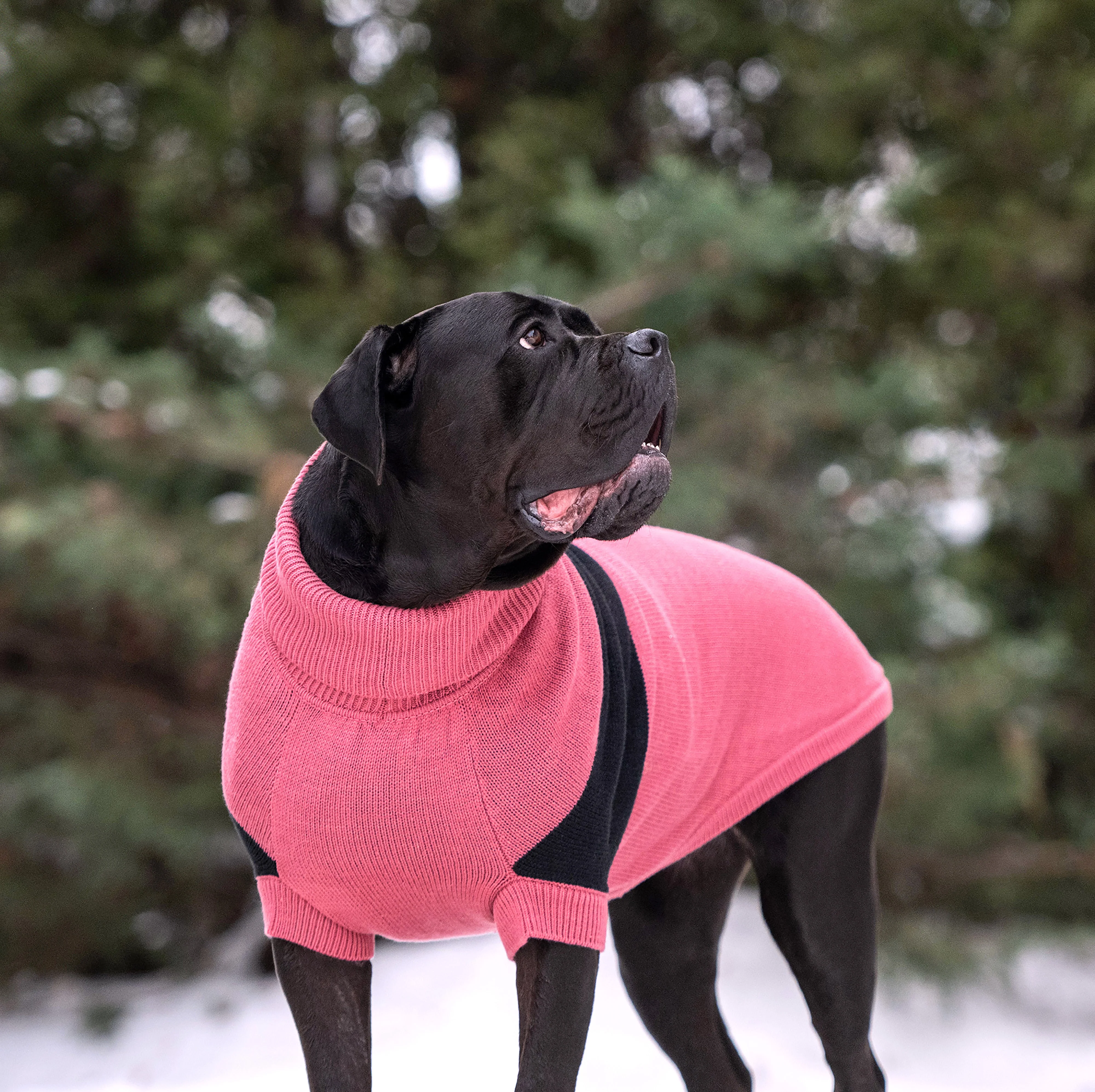Catalyst Sweater - Image 6