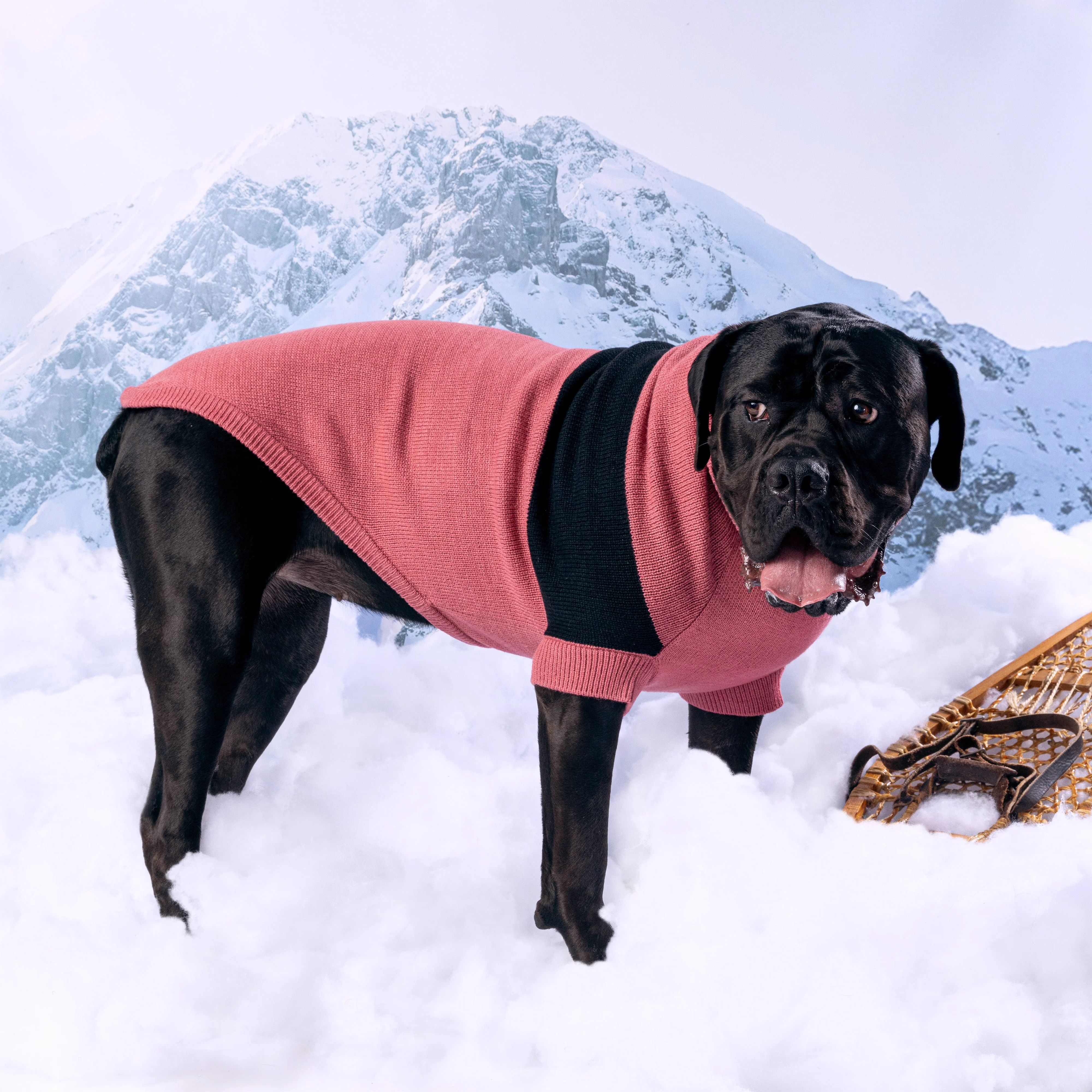 Catalyst Sweater - Image 7