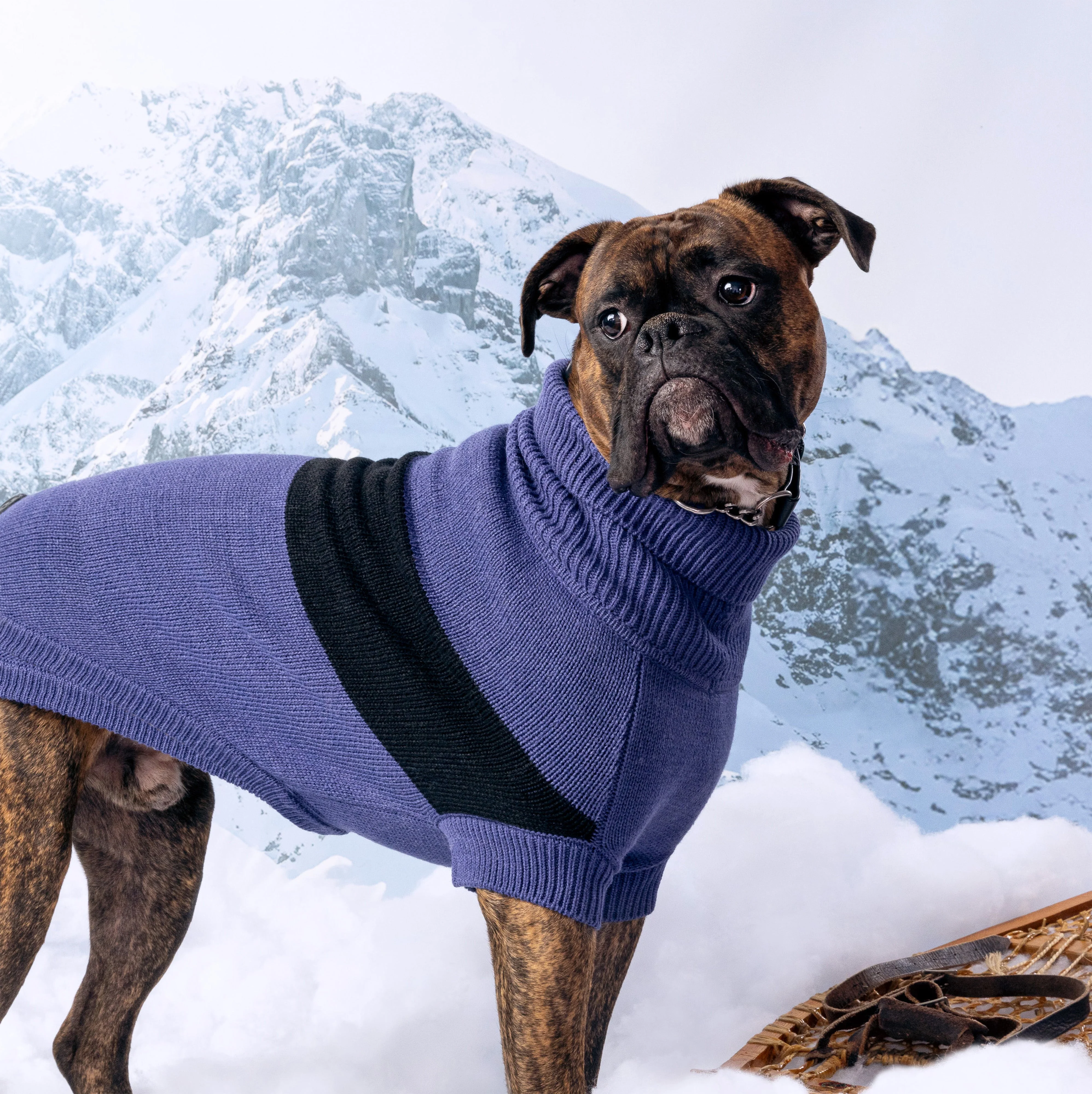 Catalyst Sweater - Image 9
