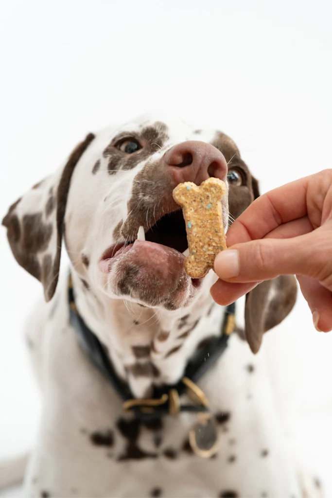 Celebration Cookies - Image 4