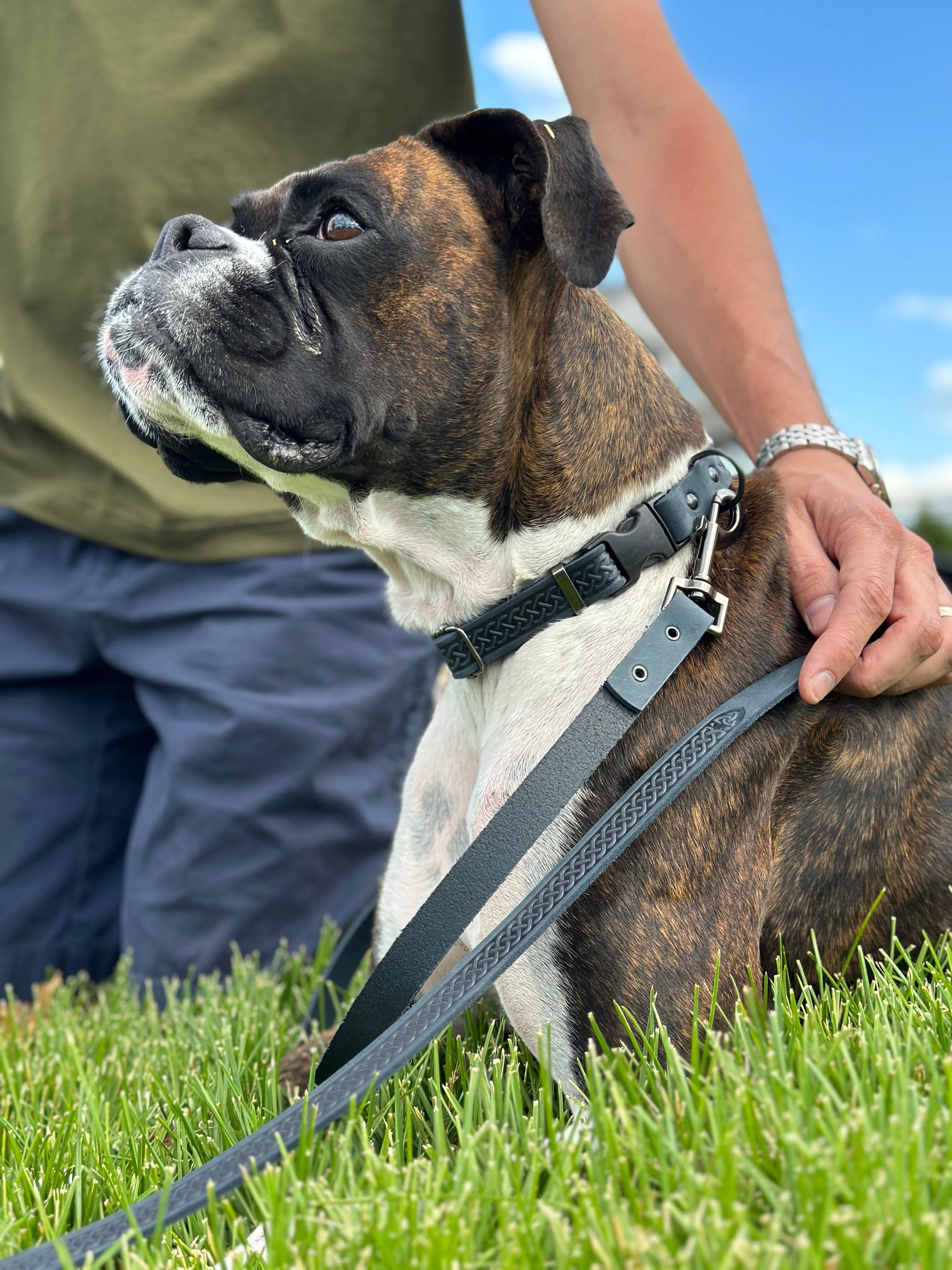 Celtic Sport Blue Jeans Leather Dog Leash - Image 2