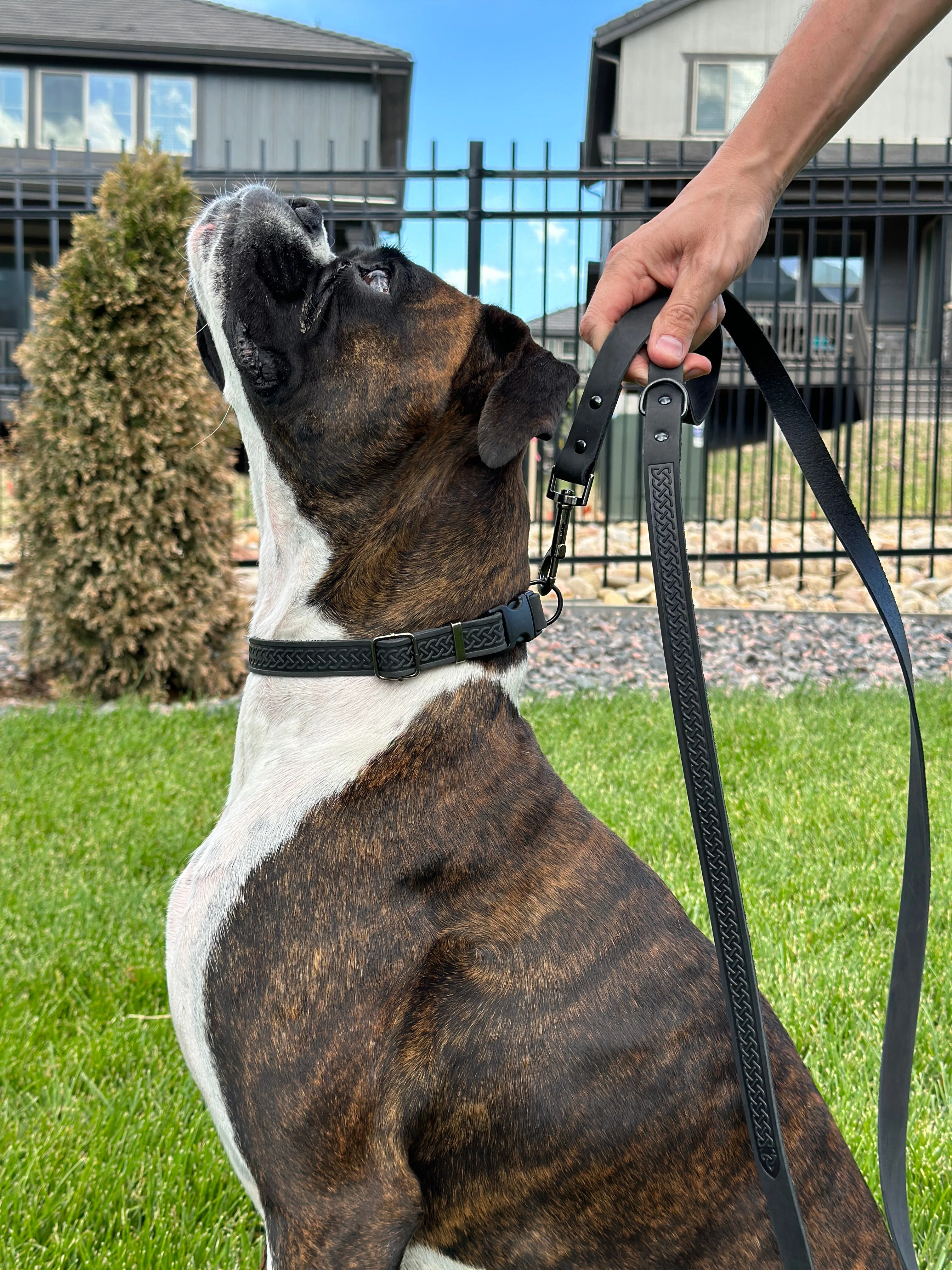 Celtic Sport Midnight Black Leather Dog Leash - Image 2