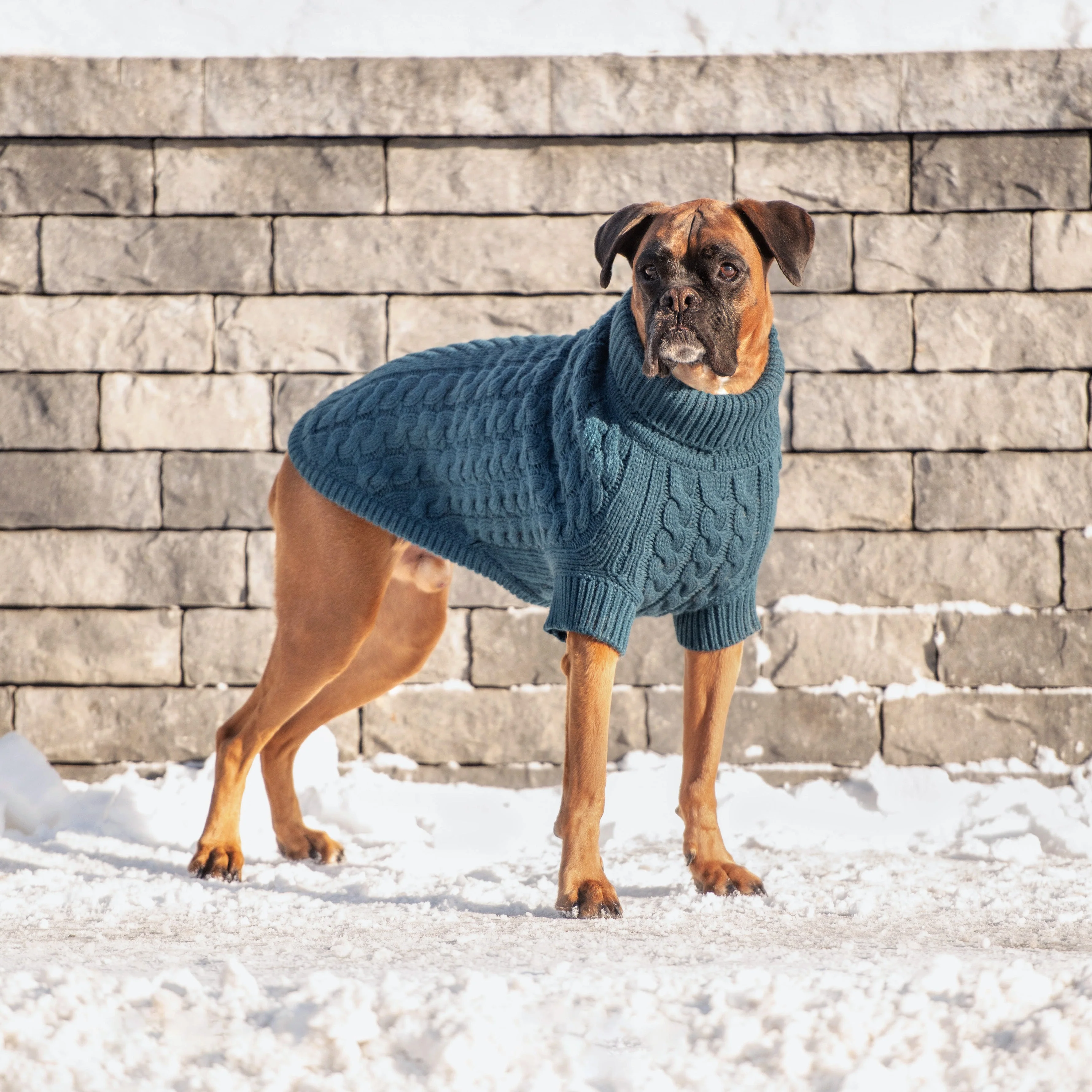 Chalet Sweater - Dark Teal - Image 5