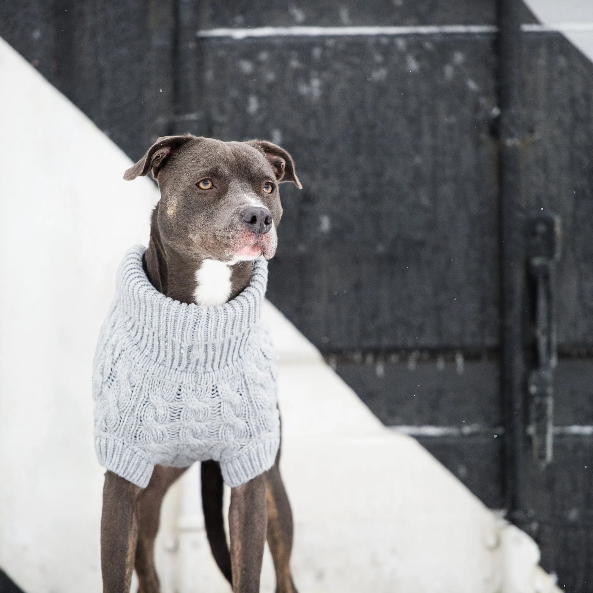 Chalet Sweater - Grey - Image 5