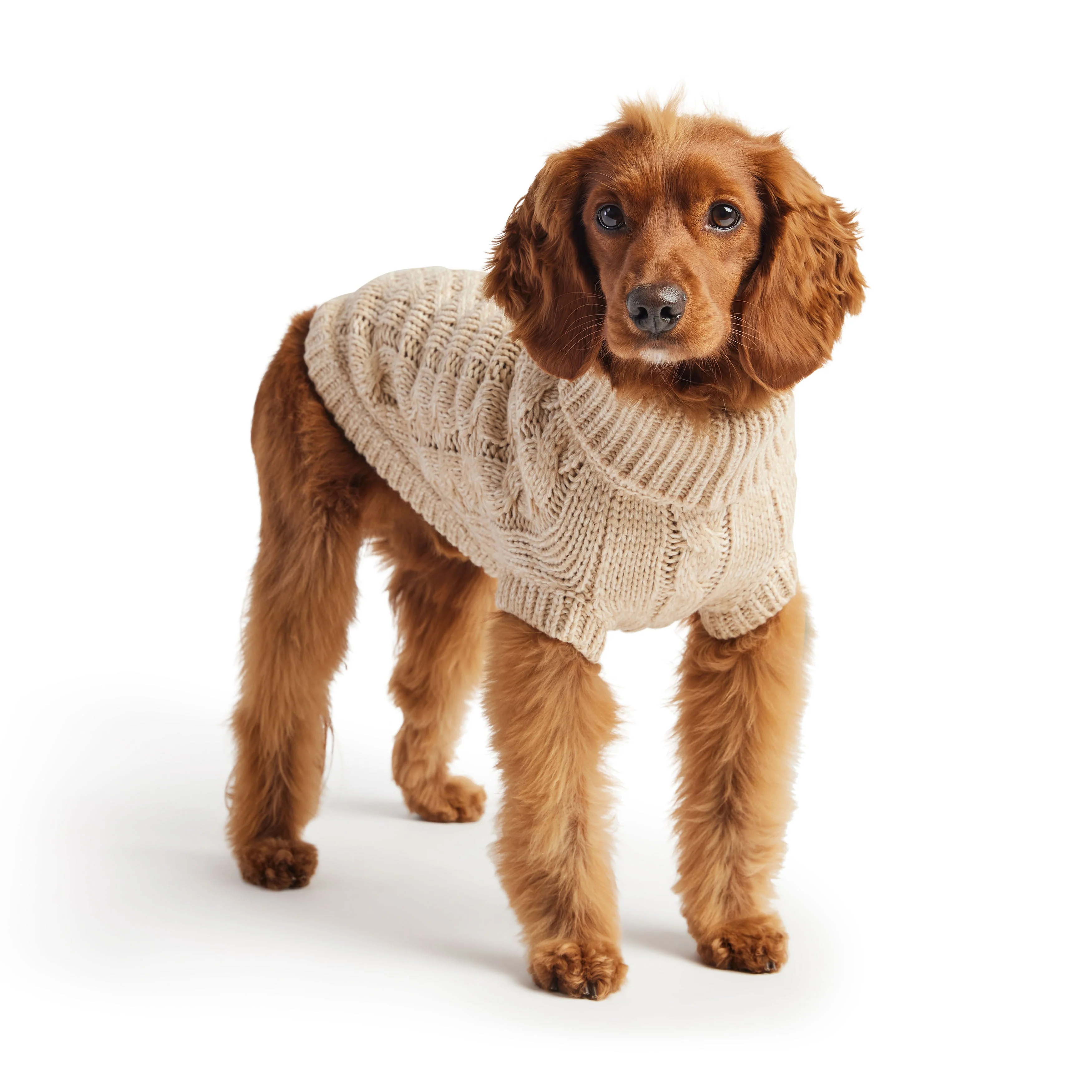 Chalet Sweater - Oatmeal - Image 2