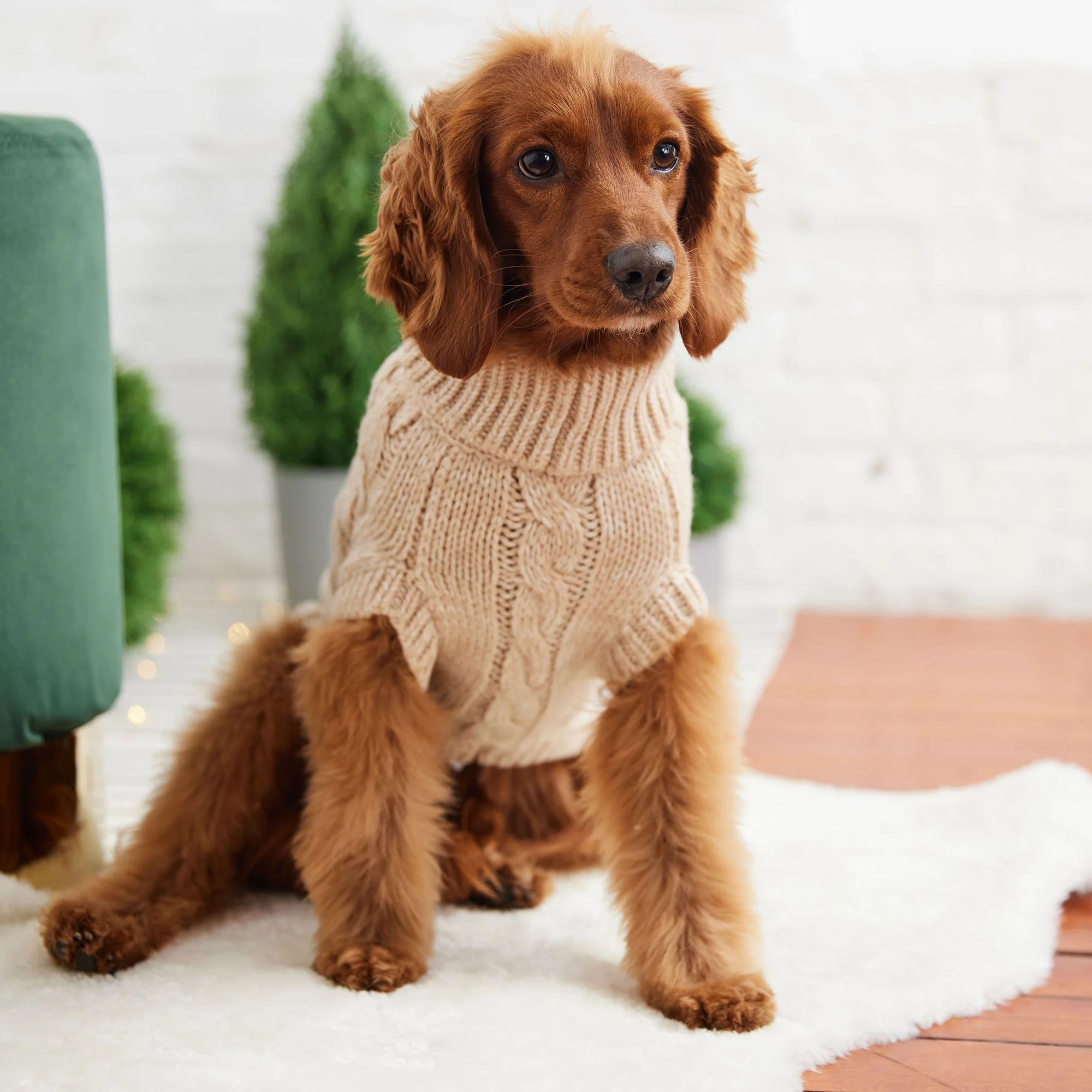 Chalet Sweater - Oatmeal - Image 4