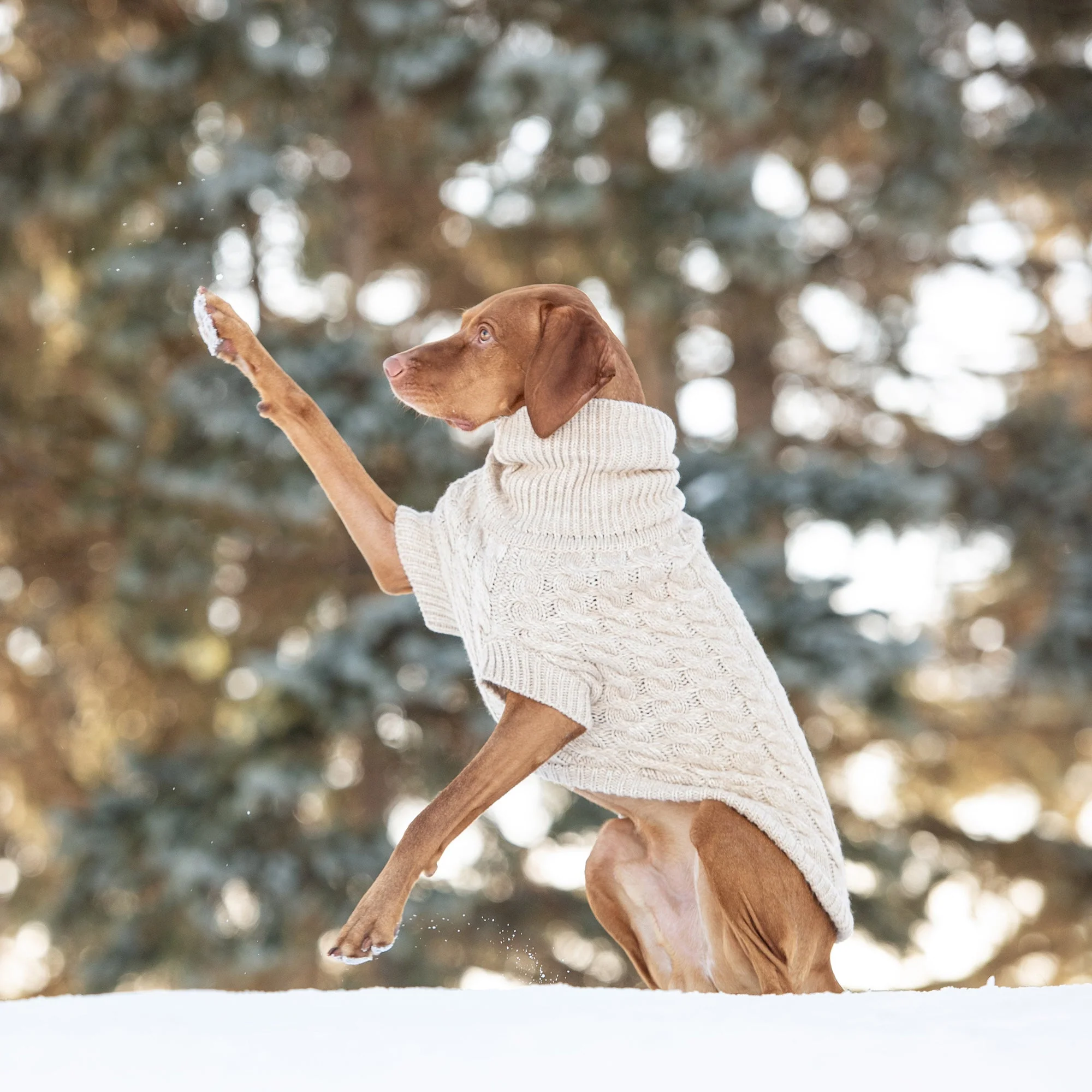 Chalet Sweater - Oatmeal - Image 5