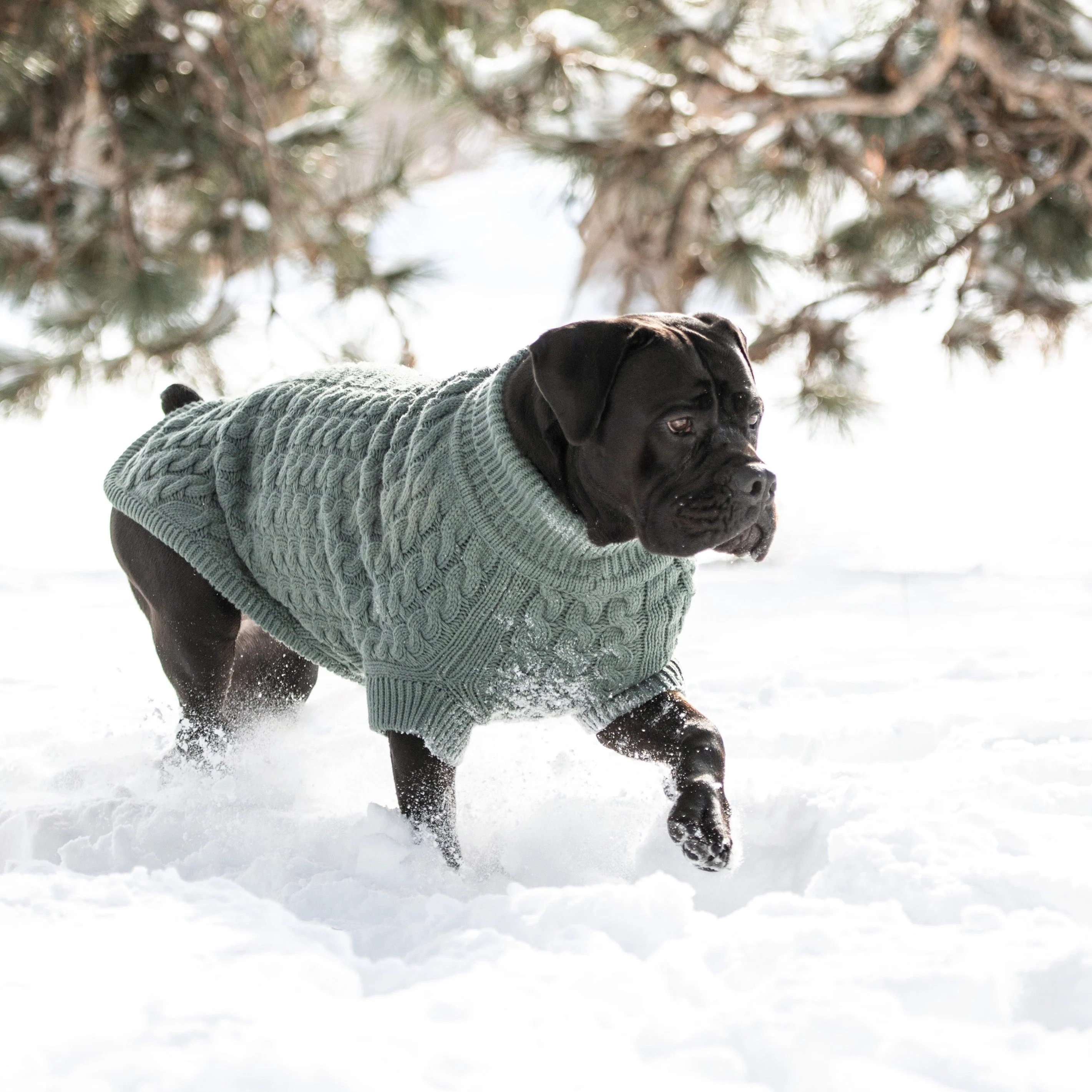 Chalet Sweater - Sage - Image 6