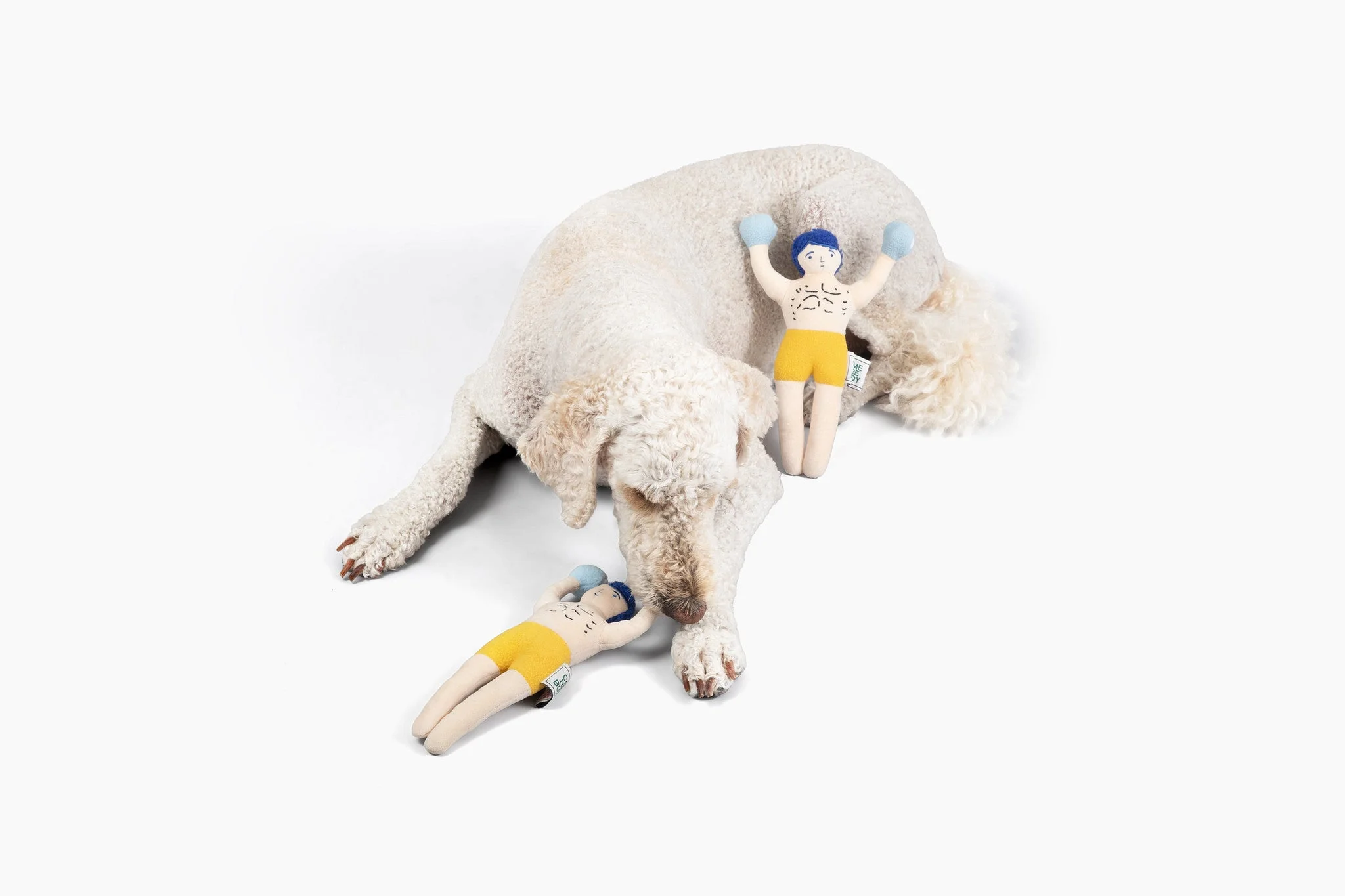 Champ Rocky Nose Work Dog Toy / Enrichment Toy - Image 3