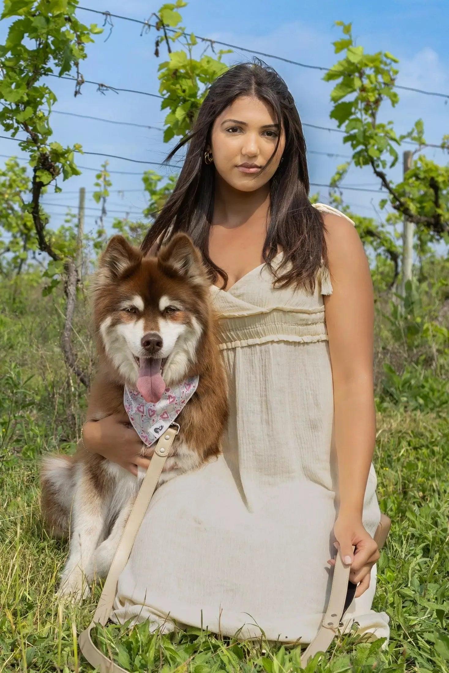 Champagne Fizz Vegan Leather Dog Leash - Image 5