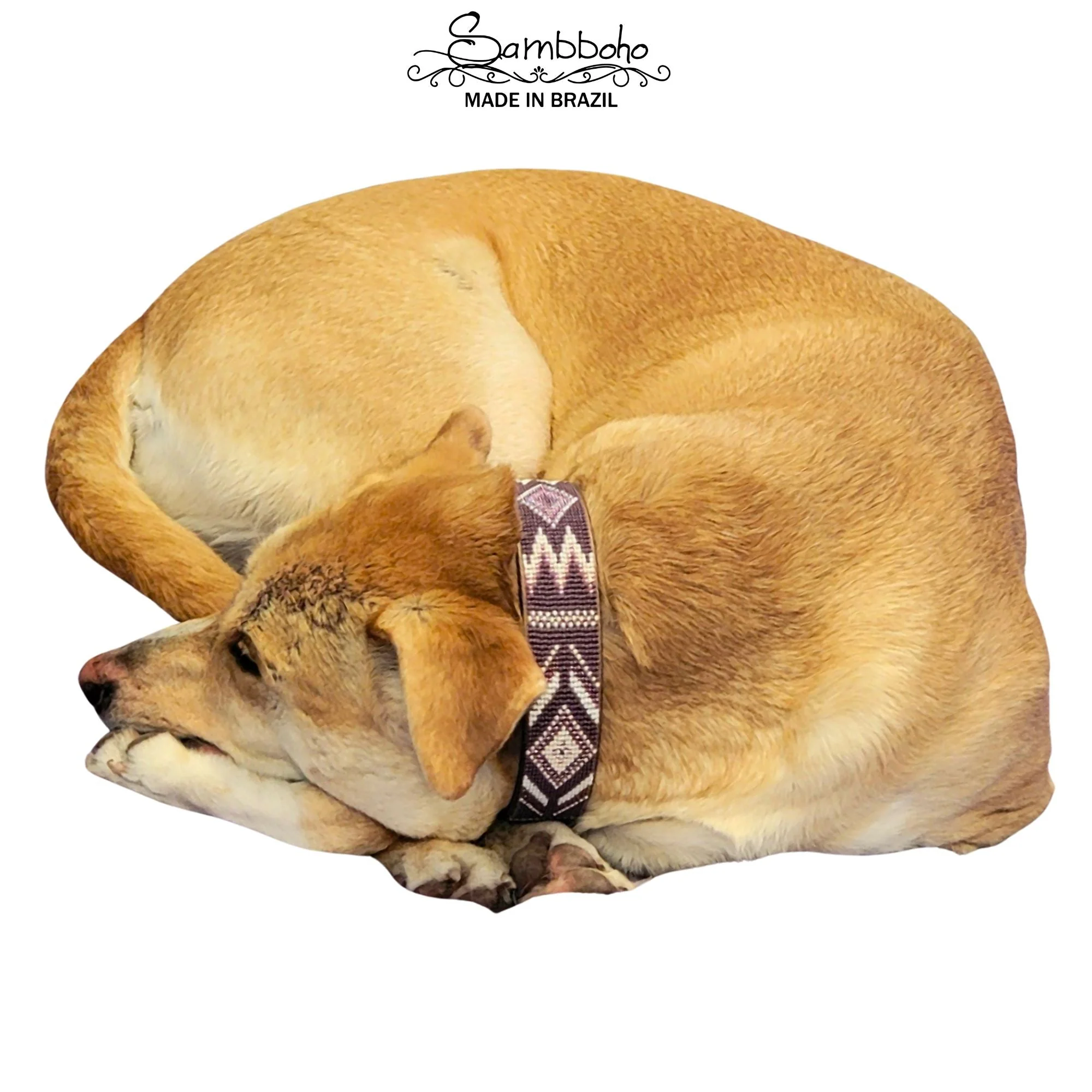 Charlotte Sambboho dog collar (made to order) - Image 4