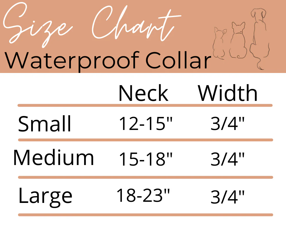 Check Me Out Waterproof Collar - Image 3