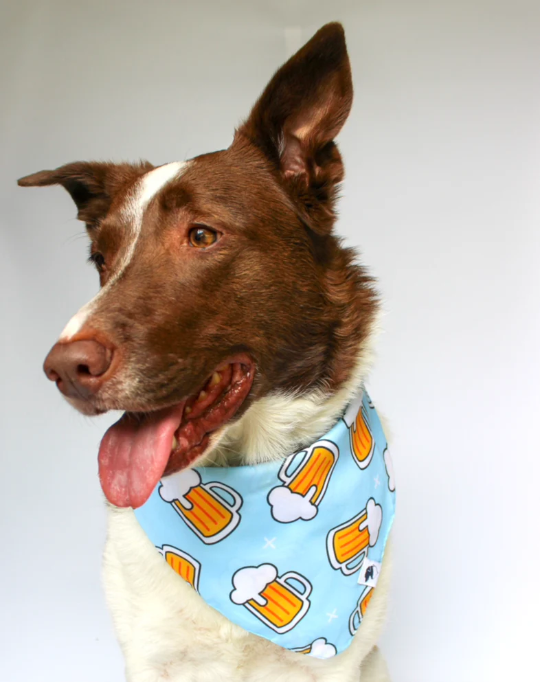 Cheers and Beers Dog Bandana - Image 5
