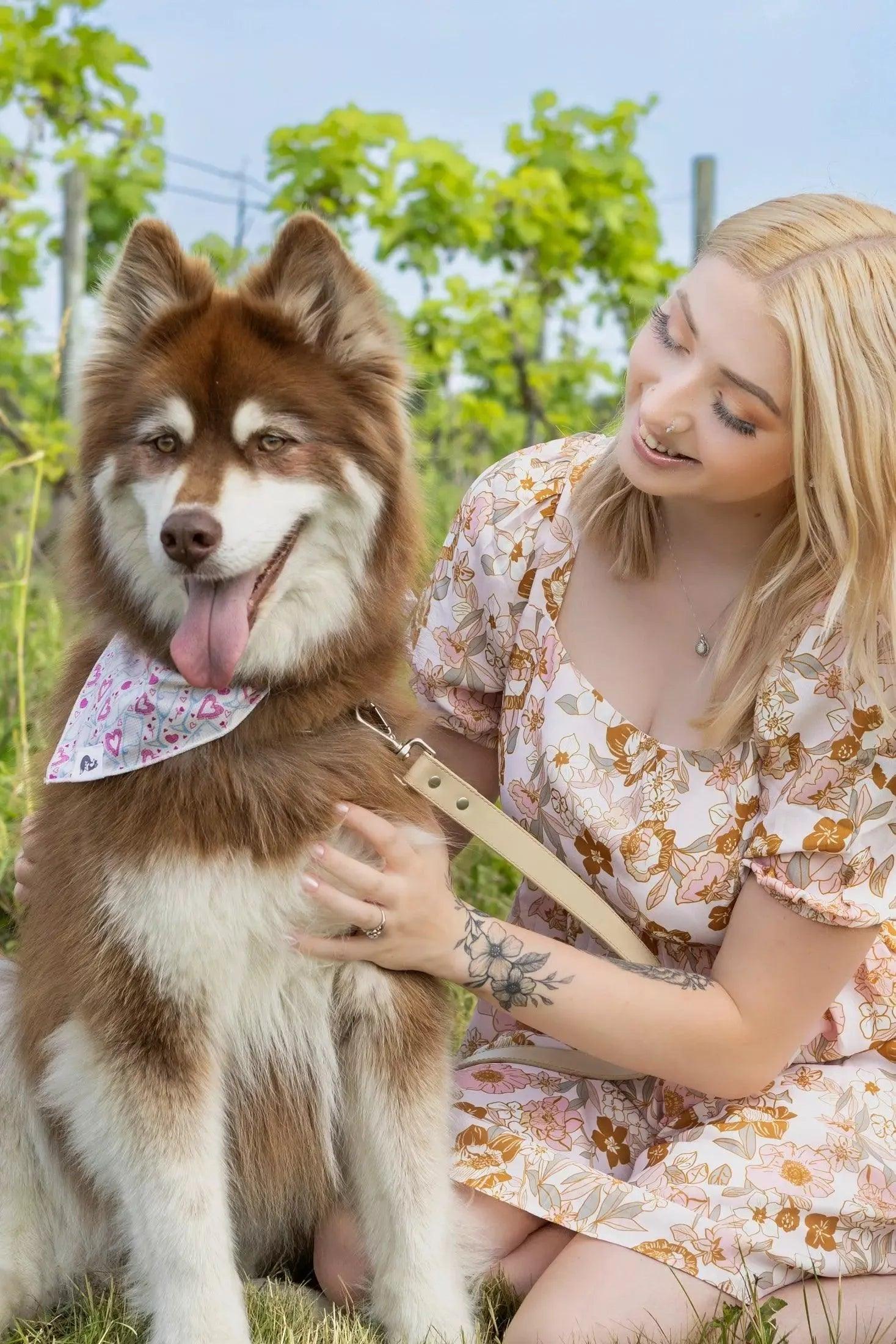 Cheers to Love Dog Bandana - Image 3