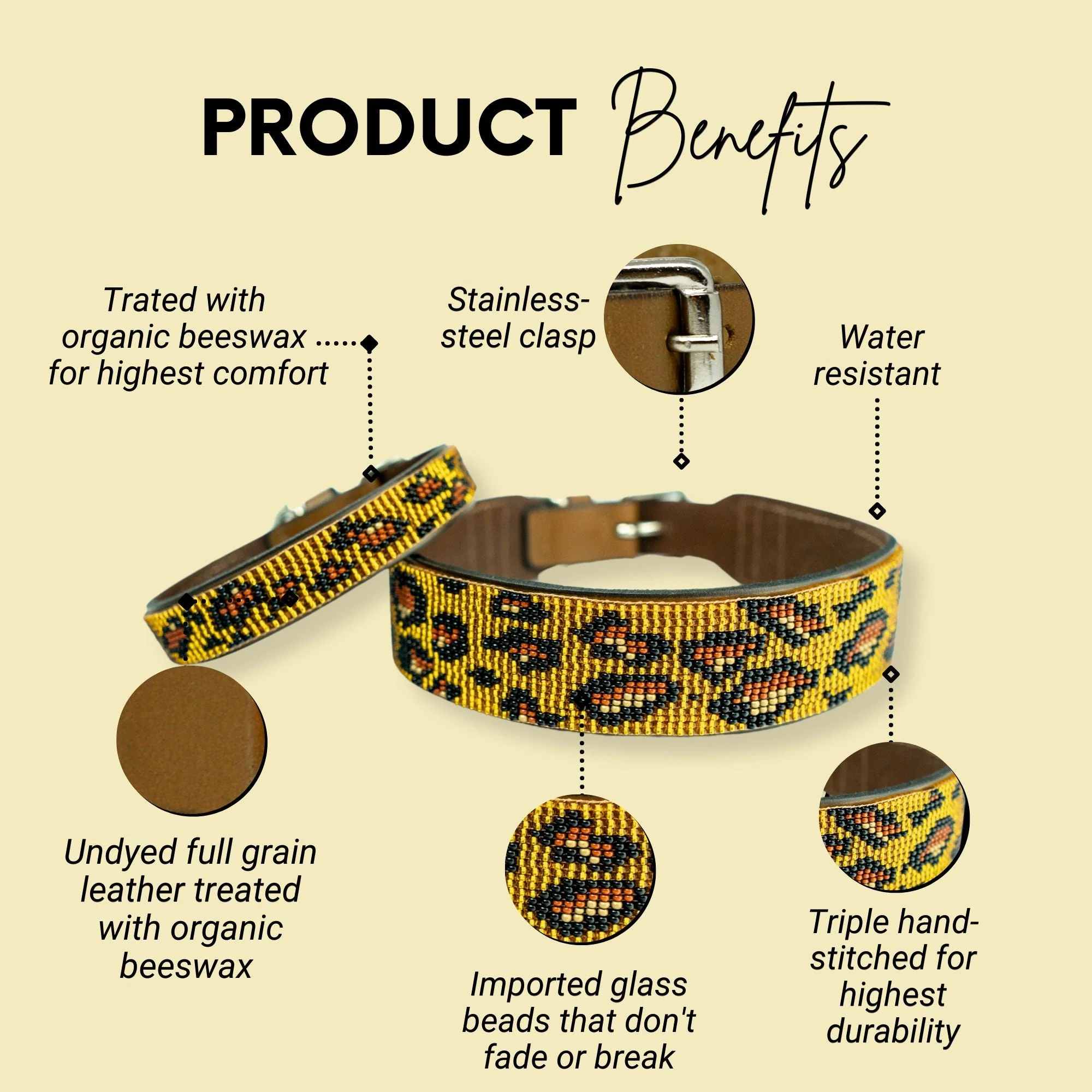 Cheetah Sambboho dog collar (animal print collection) - Image 2