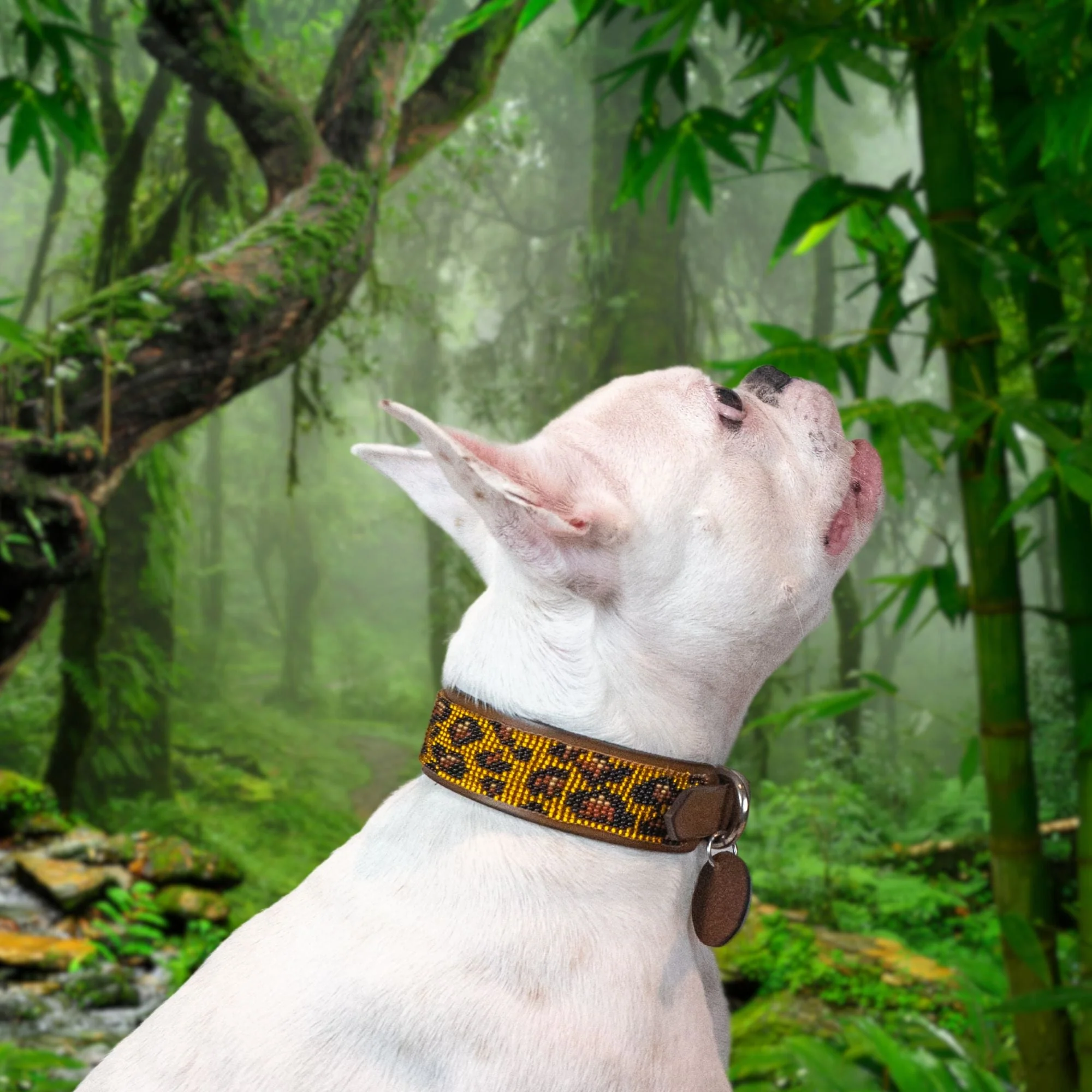 Cheetah Sambboho dog collar (animal print collection) - Image 4